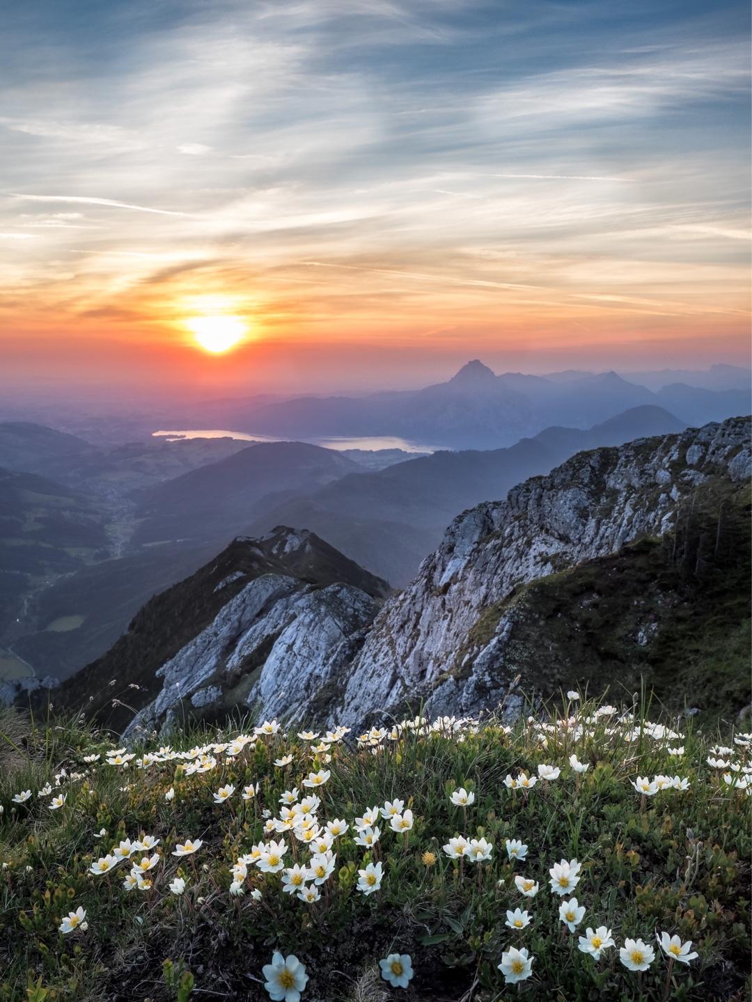 Background image of Faris Begic