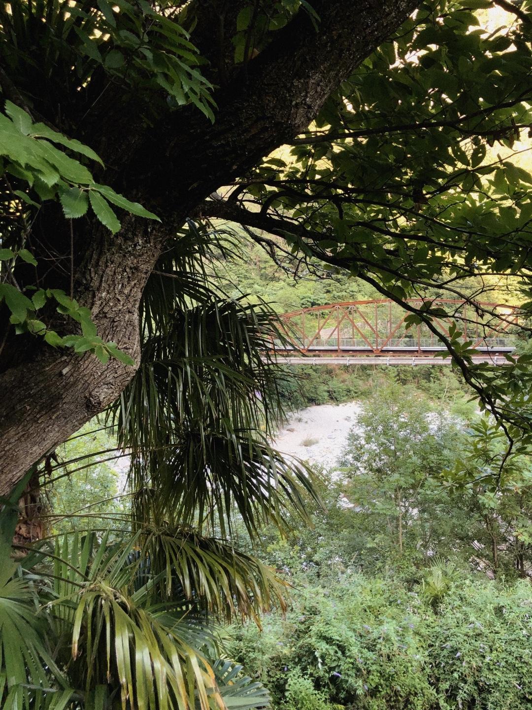 Spot image 3
