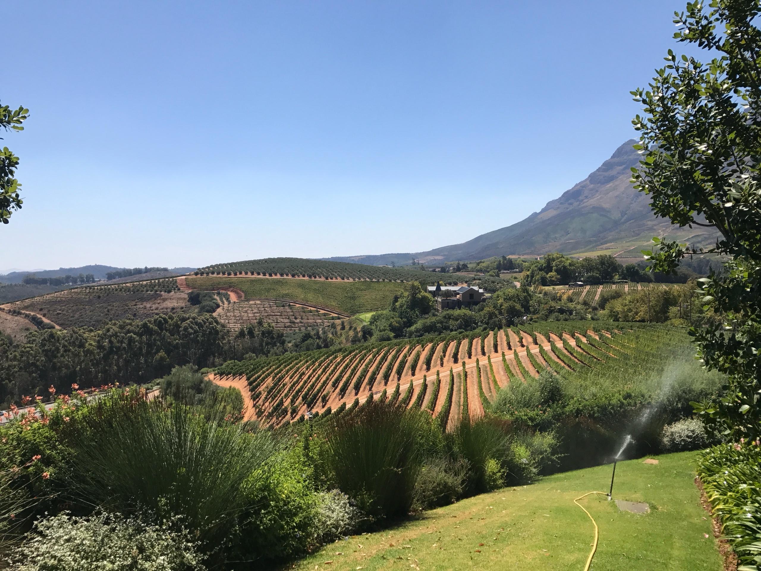 Recommendation for spot Tokara Wine Estate