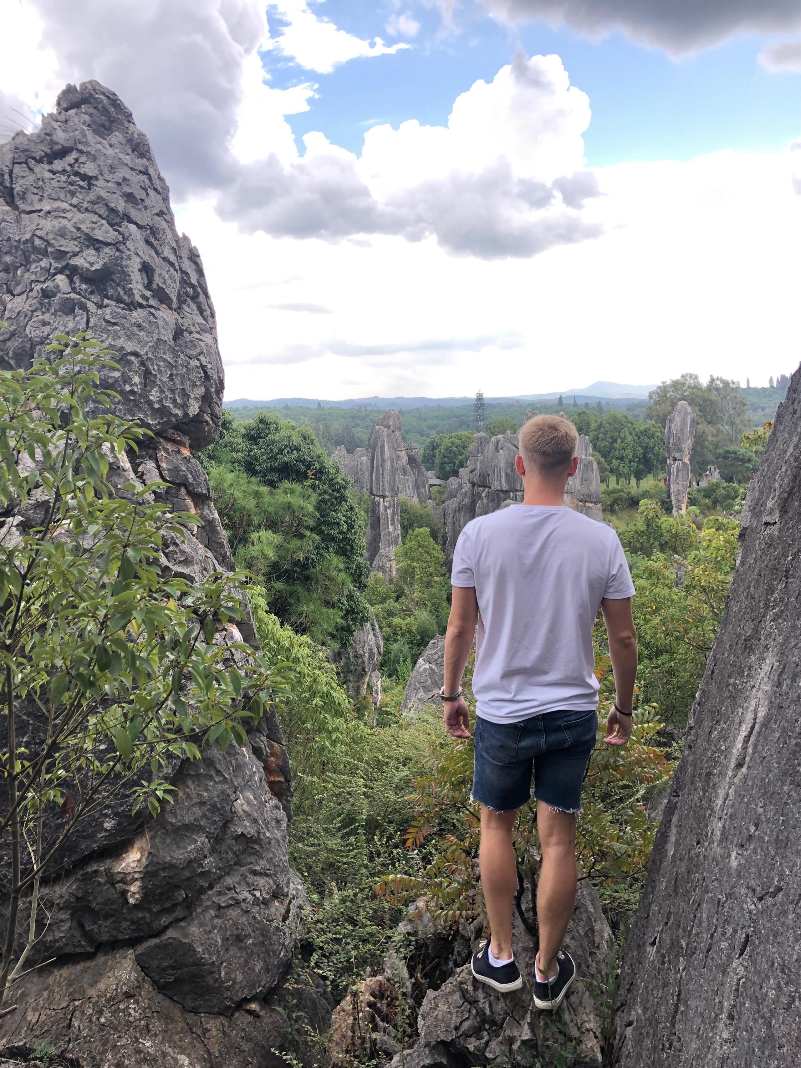 image of Stone Forest Scenic Area