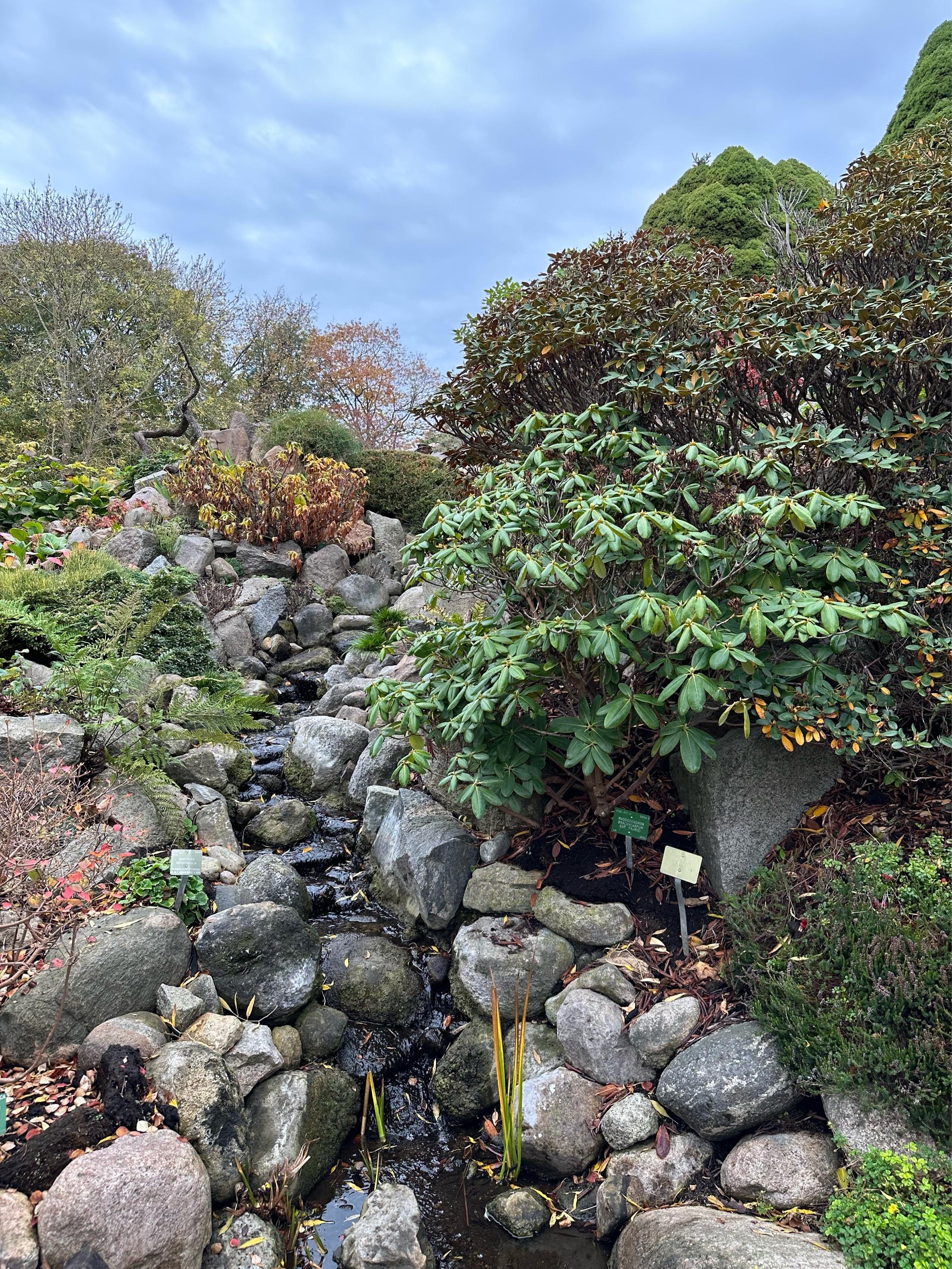 image of Botanical Garden