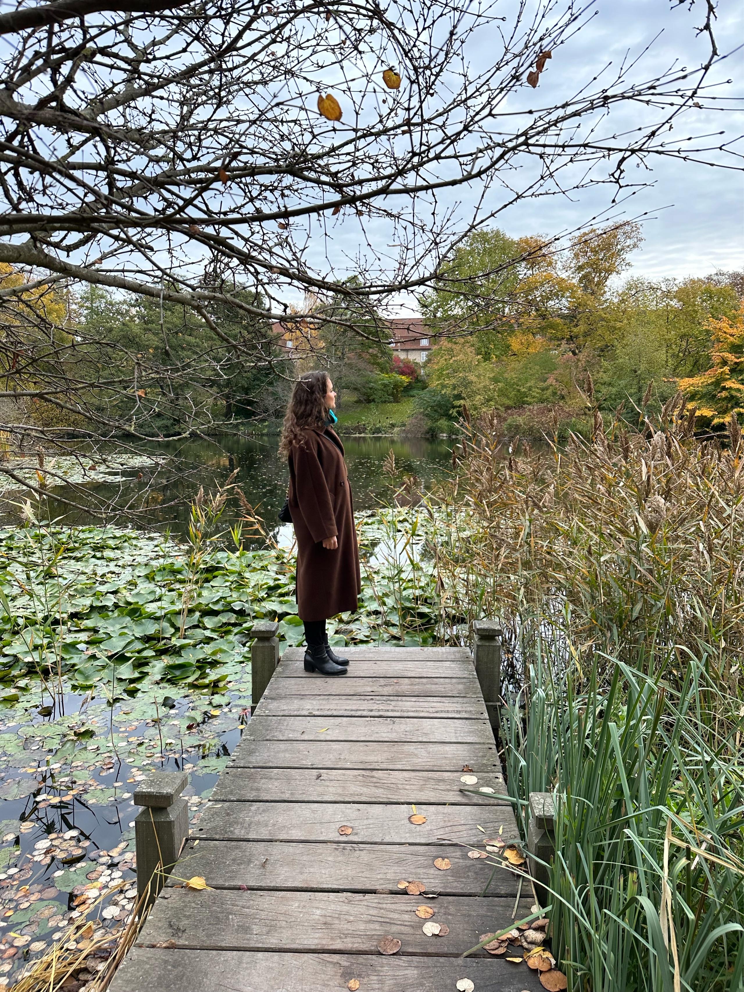 image of Botanical Garden