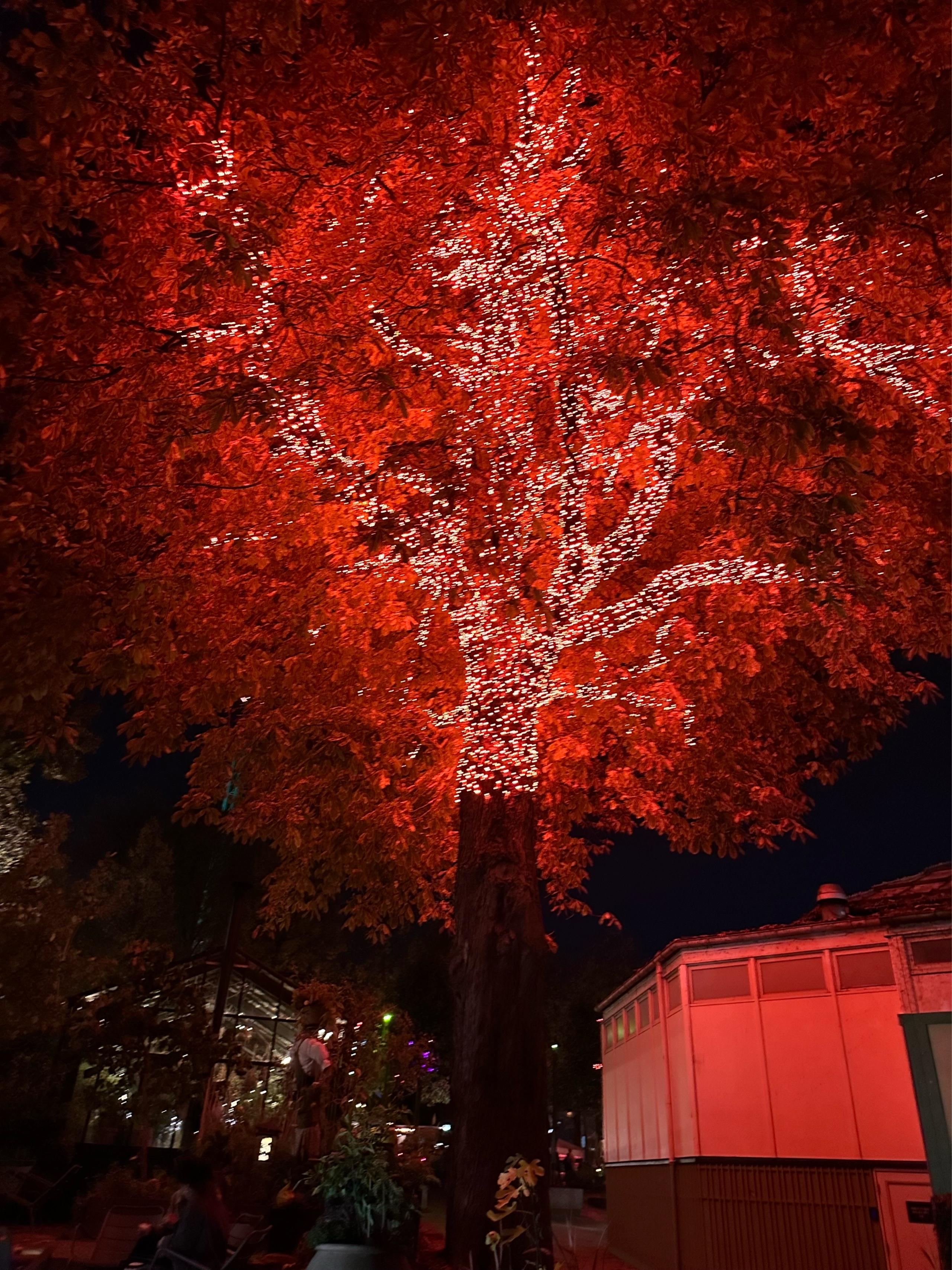 image of Tivoli Gardens