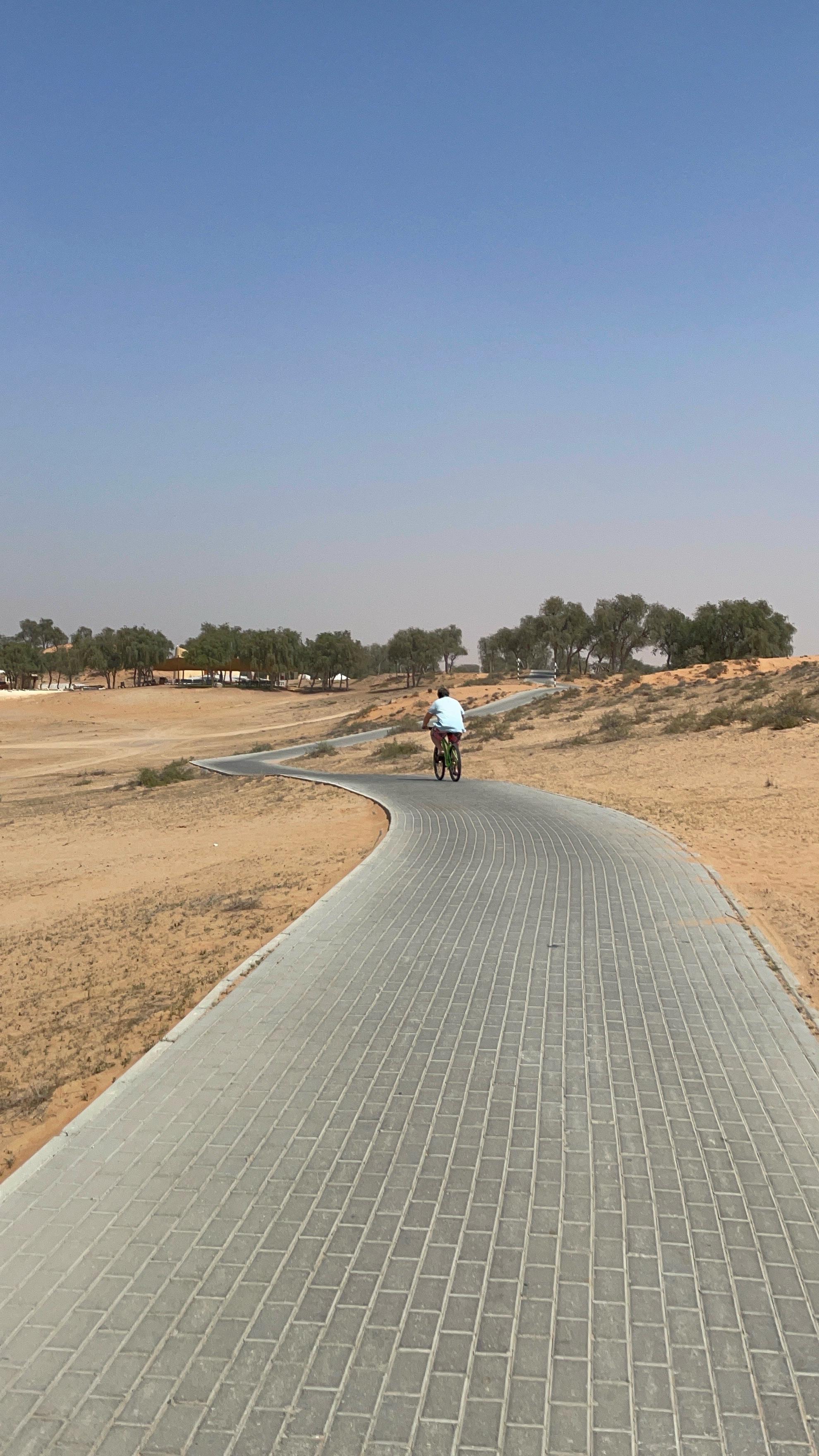 Recommendation for spot The Ritz-Carlton Ras Al Khaimah, Al Wadi Desert