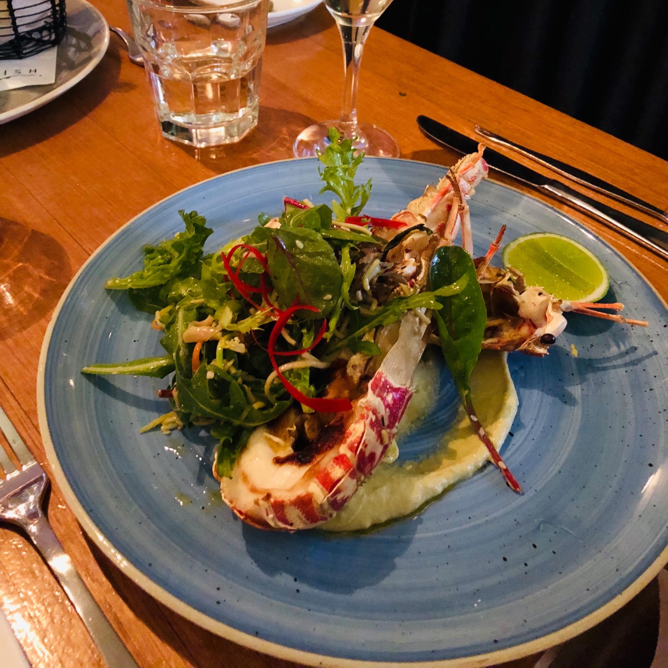 Recommendation for spot Garfish Manly