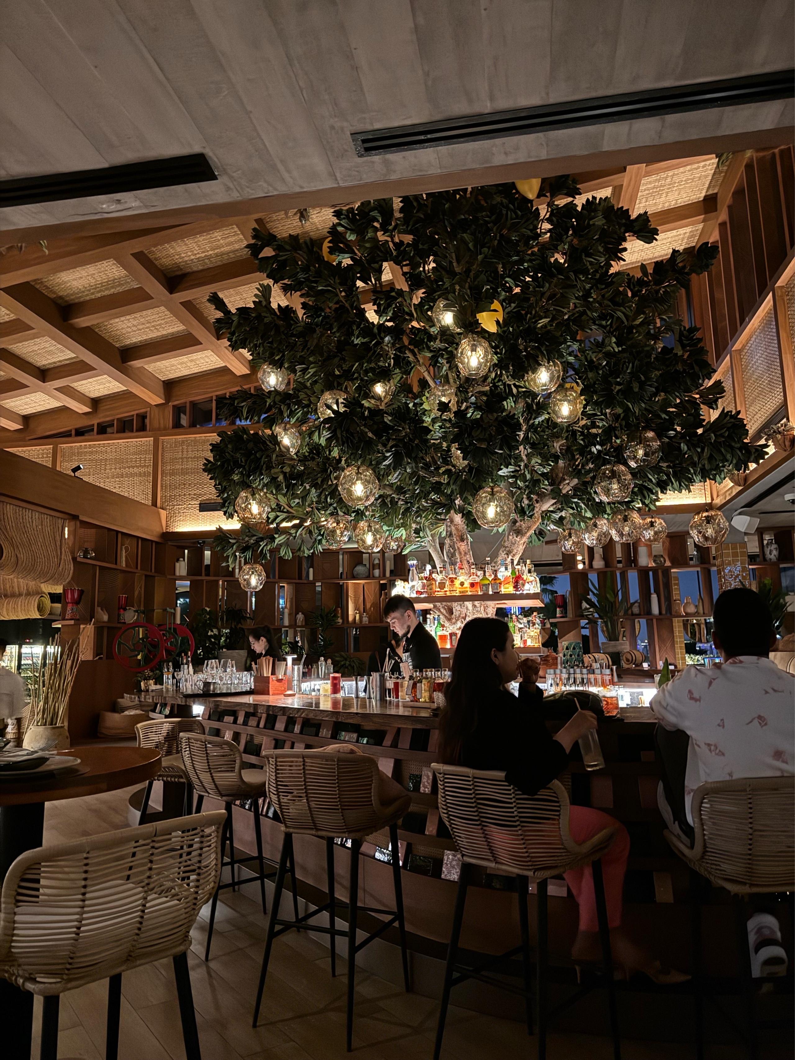 Recommendation for spot Tamoka Dubai