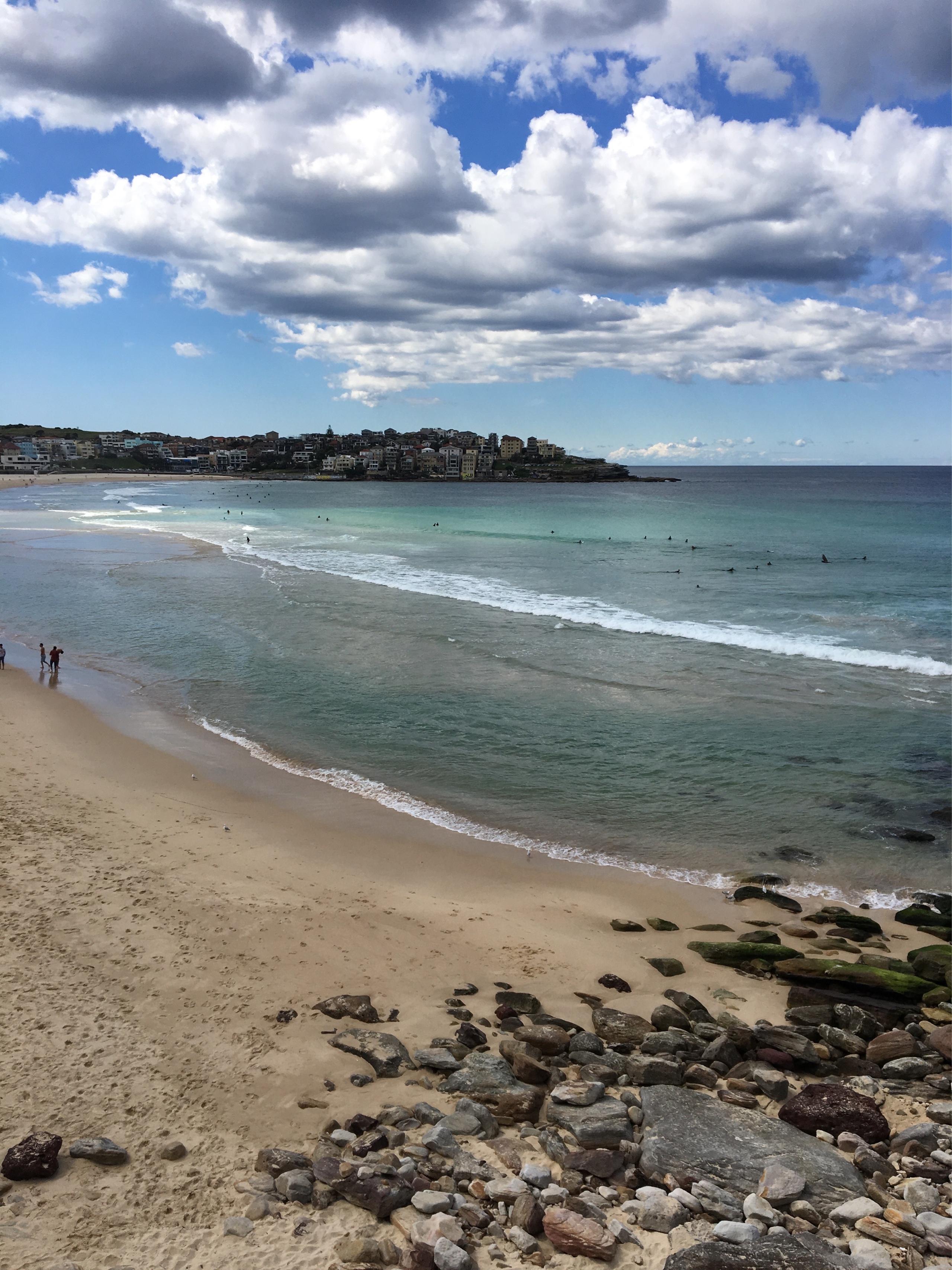 Spot image 4