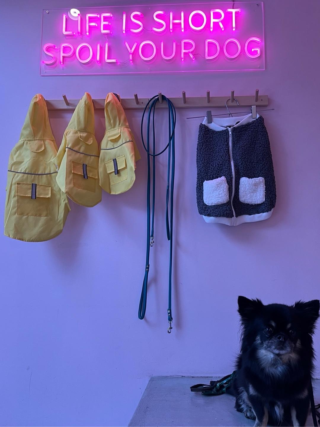 Recommendation for spot Dog Bakery Stockholm Vasaparken