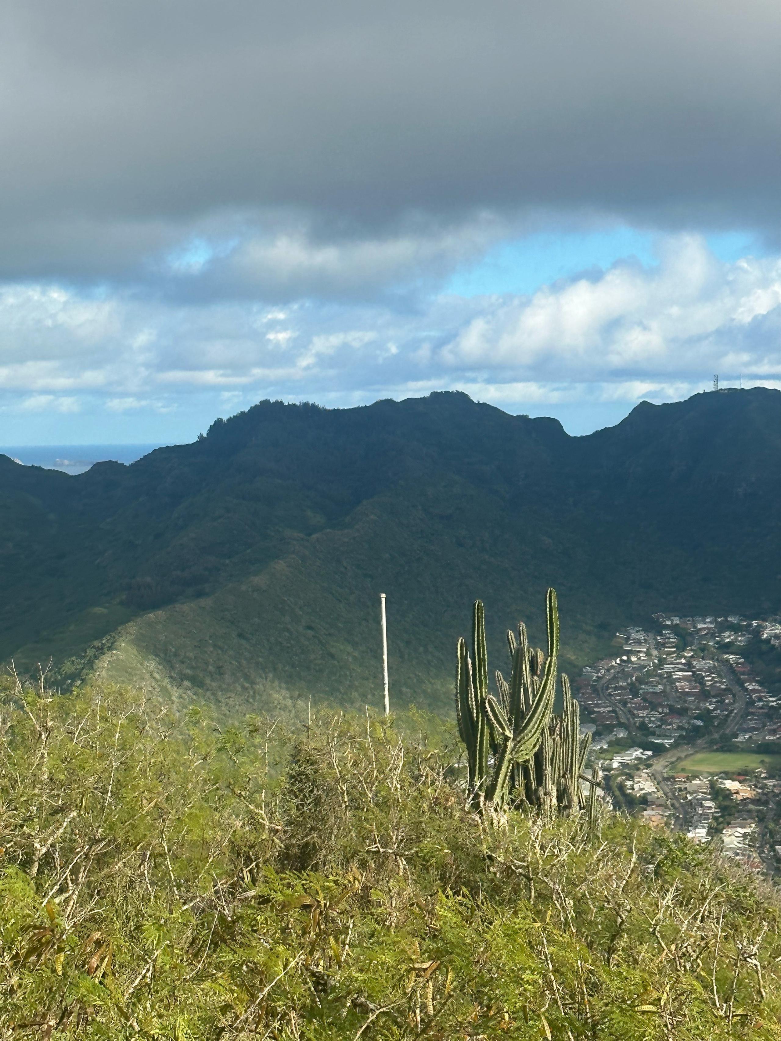 Spot image 2