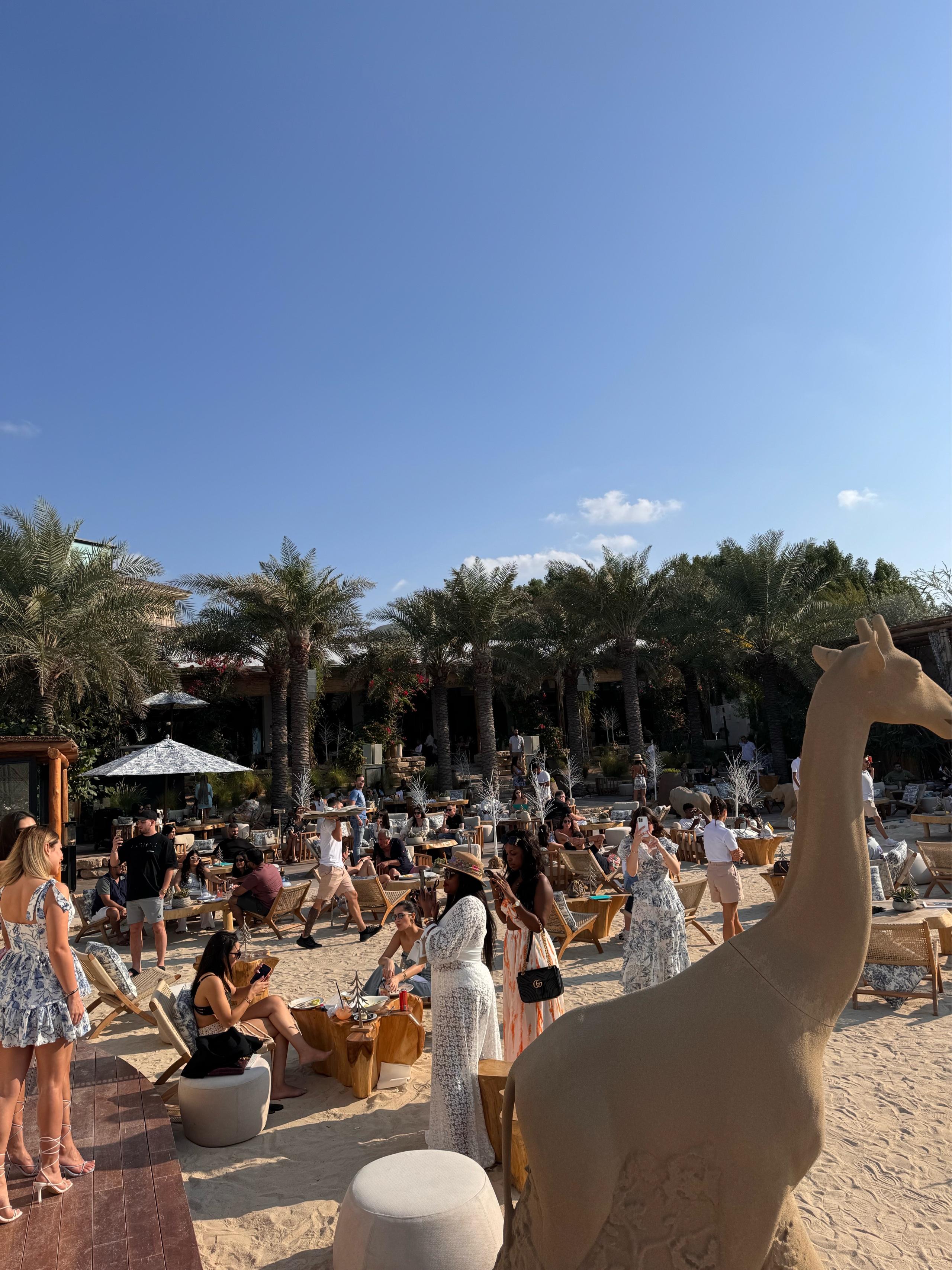 Recommendation for spot NAMMOS Dubai
