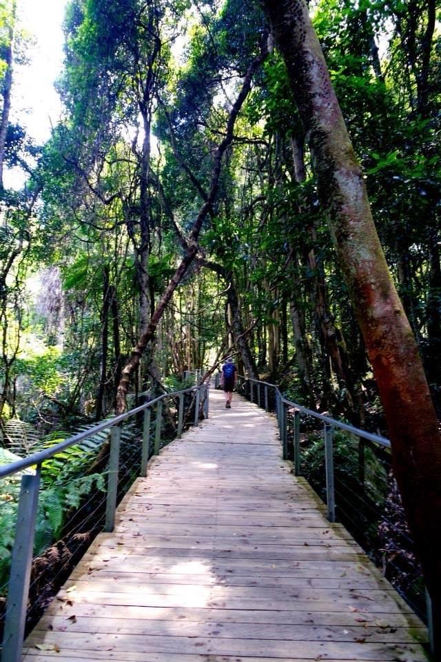 image of Blue Mountains National Park