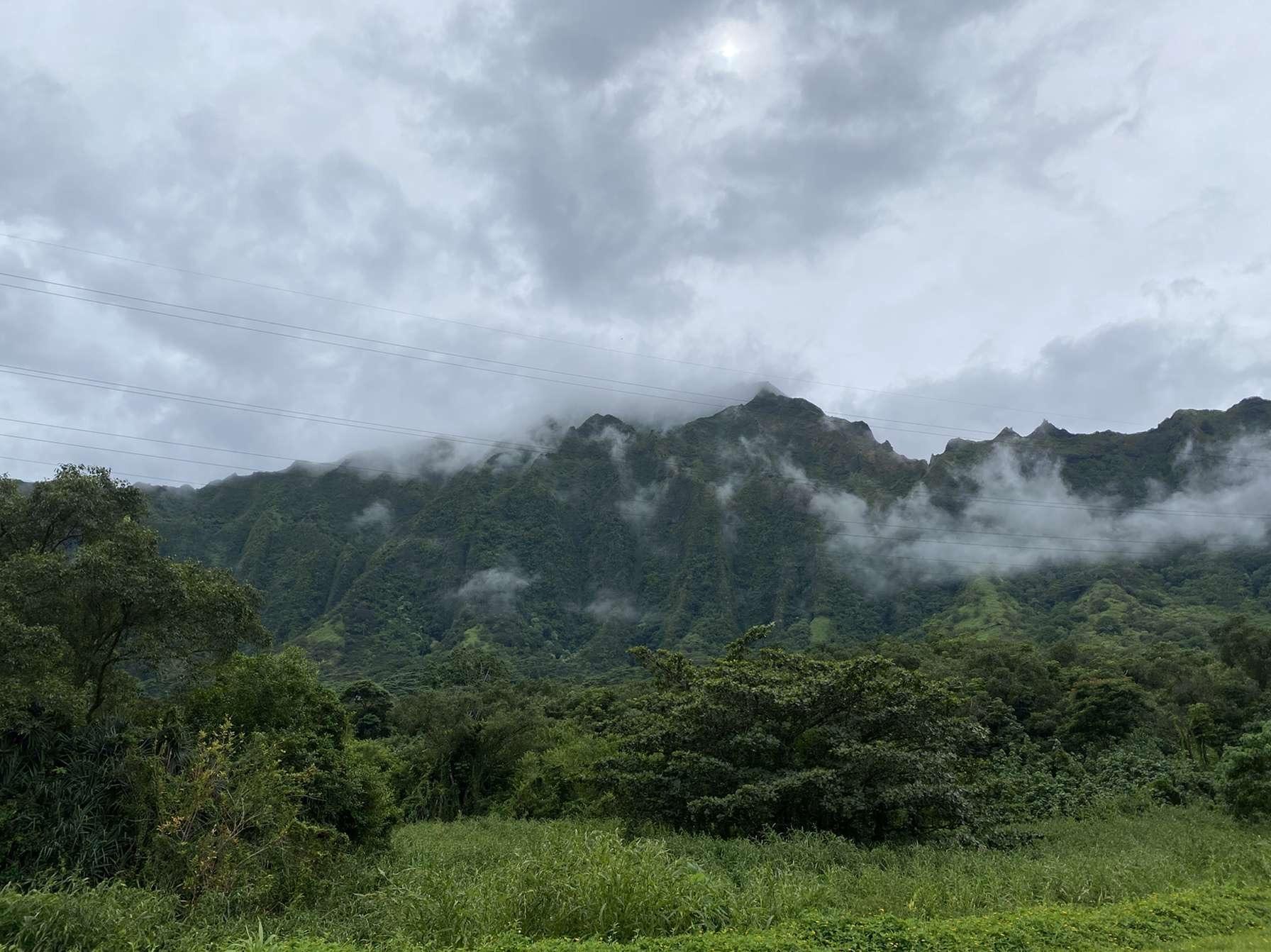 Recommendation for spot Hoʻomaluhia Botanical Garden
