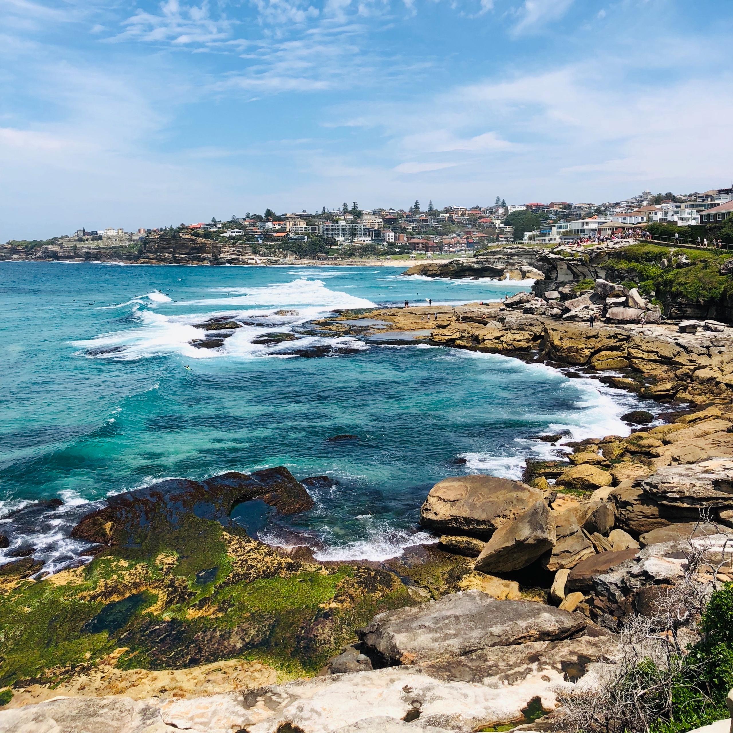 Recommendation for spot Bondi to Bronte Coastal Walk
