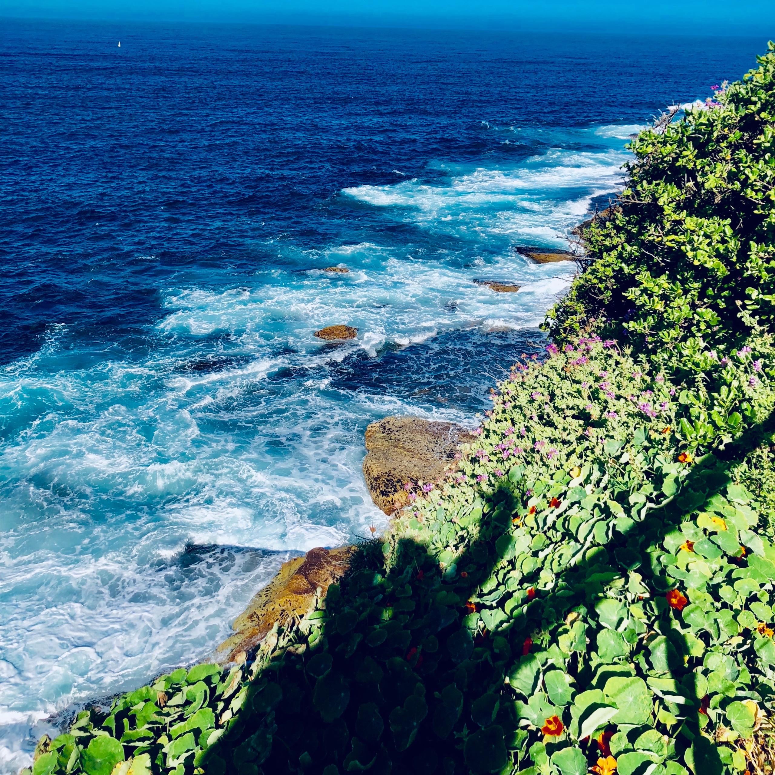 image of Bondi to Bronte Coastal Walk