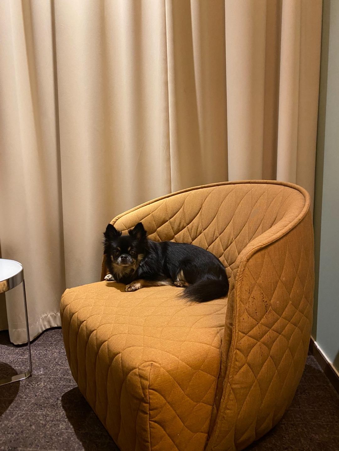 image of Clarion Hotel® Arlanda Airport Terminal