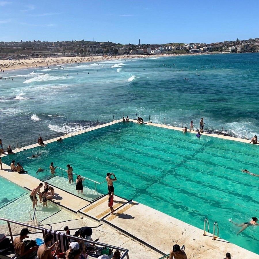 image of Bondi Icebergs POOL