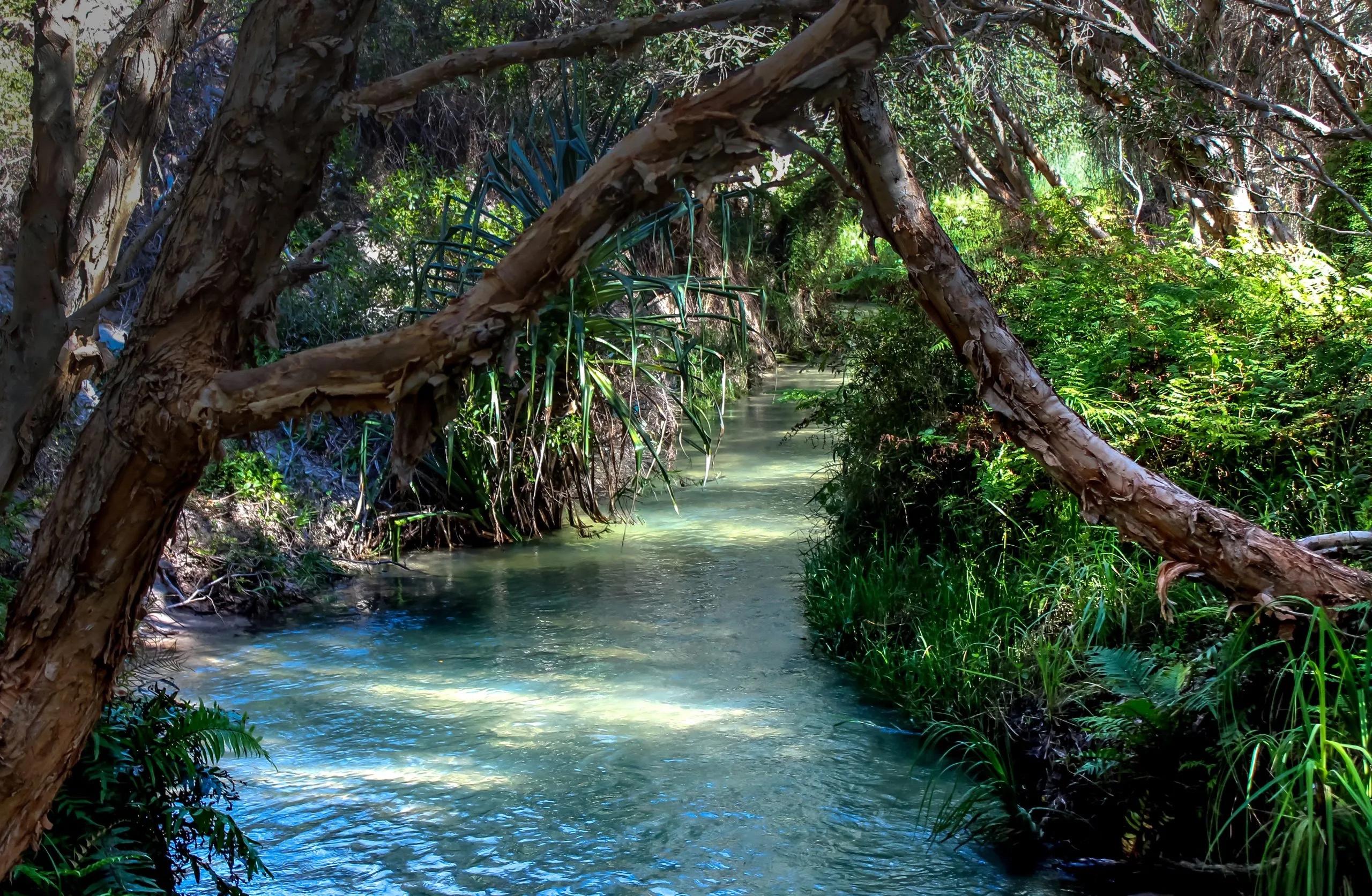 Recommendation for spot Eli Creek