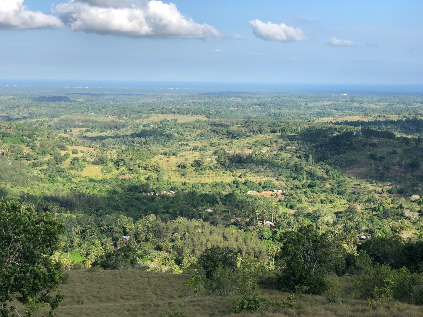 image of Kinondo Kwetu
