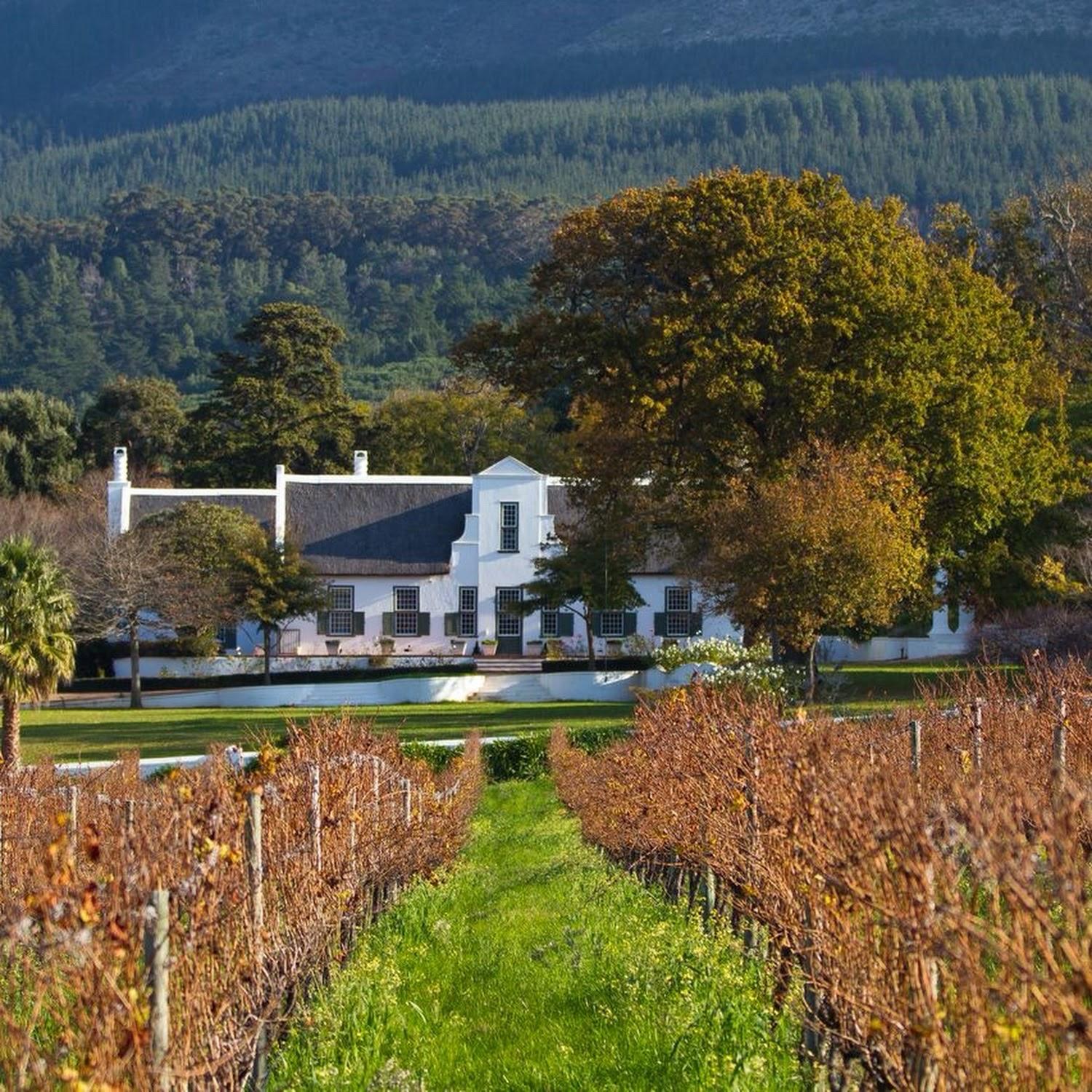 Recommendation for spot Klein Constantia Estate