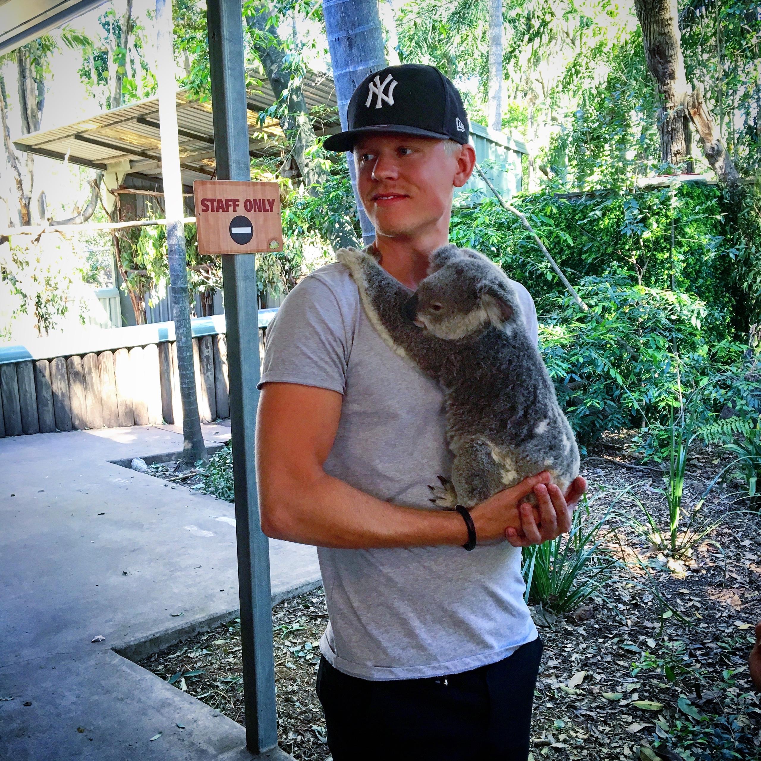 image of Lone Pine Koala Sanctuary