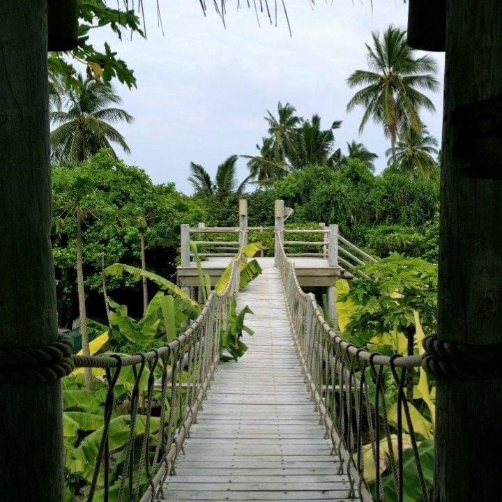 Spot image 4