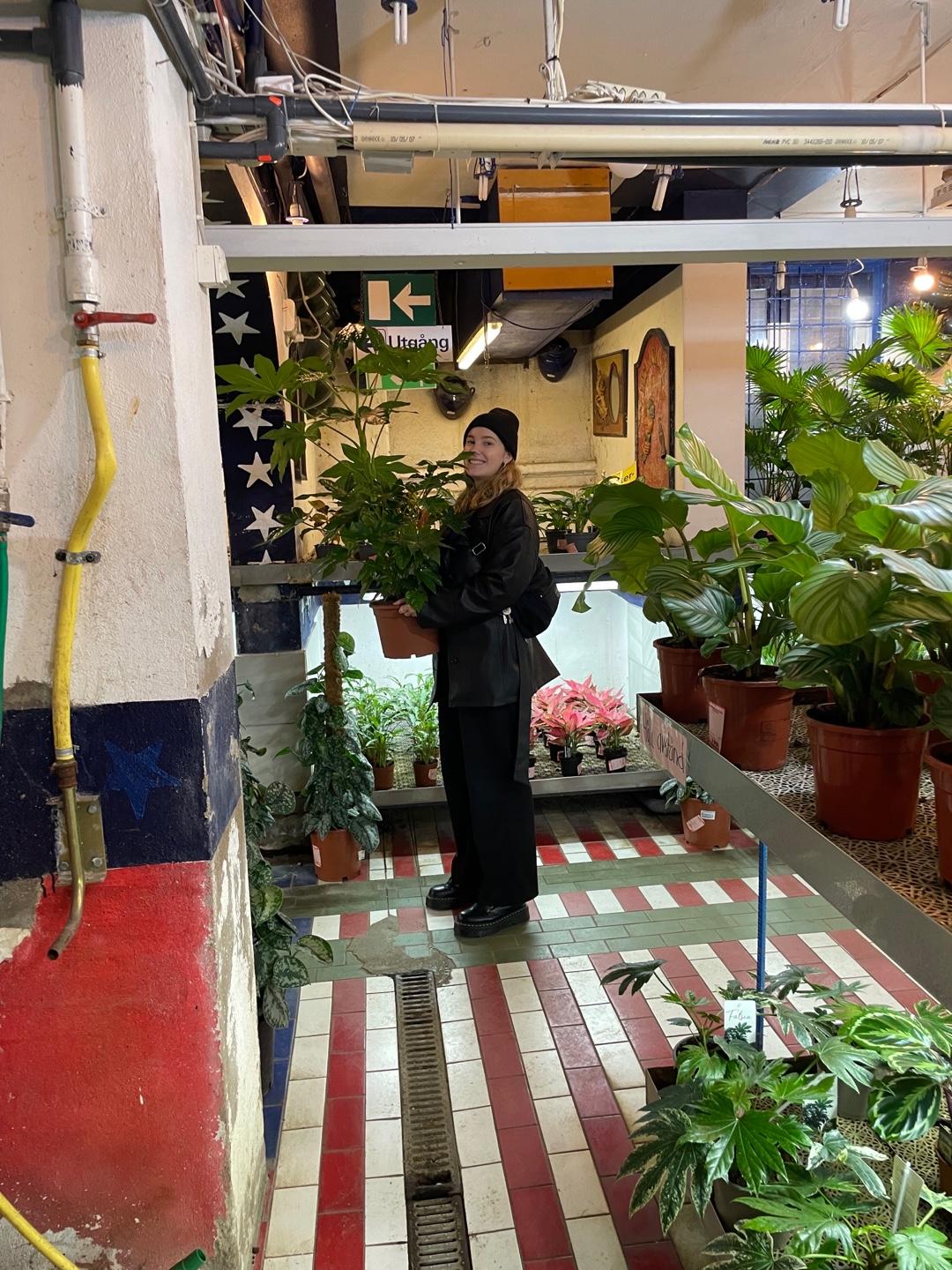 Spot image 2