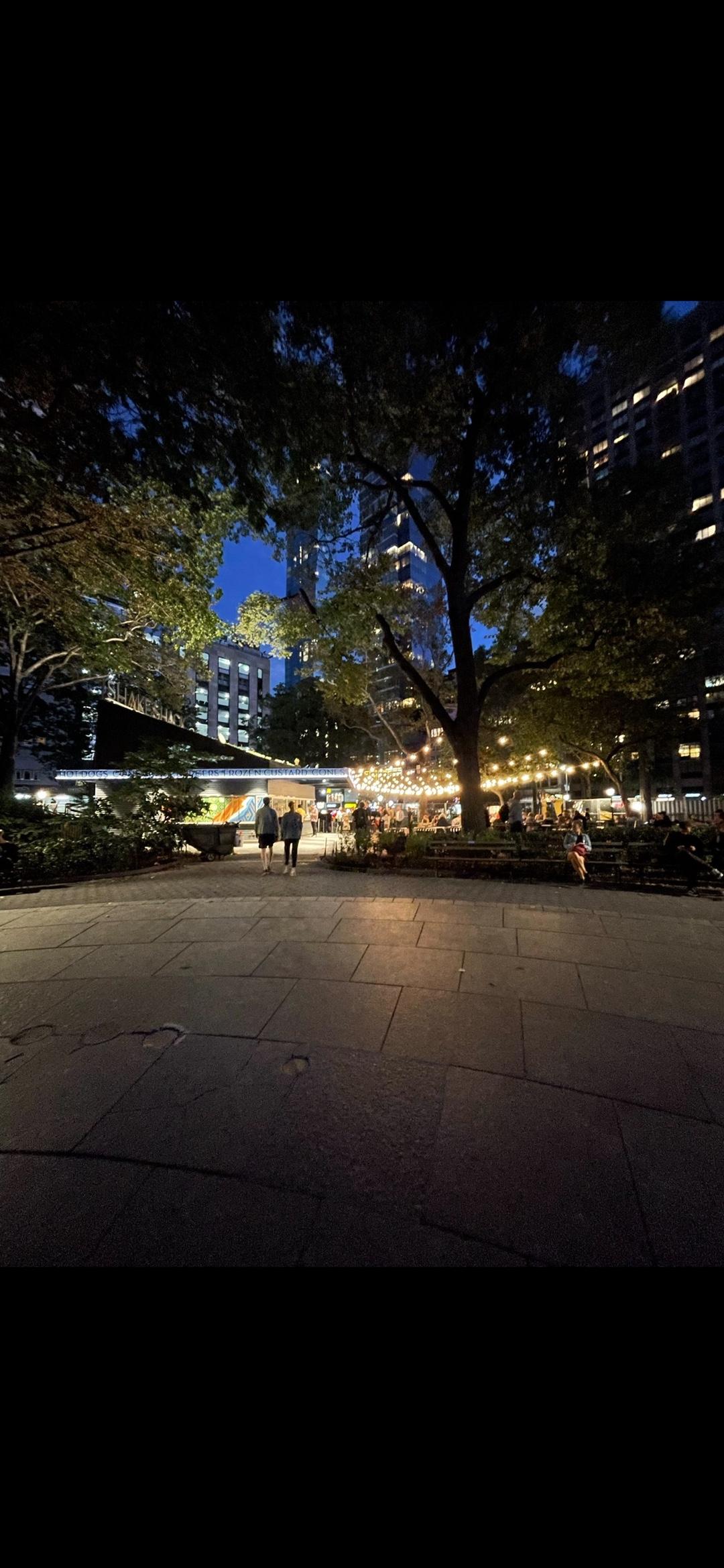 Recommendation for spot Shake Shack Madison Square Park