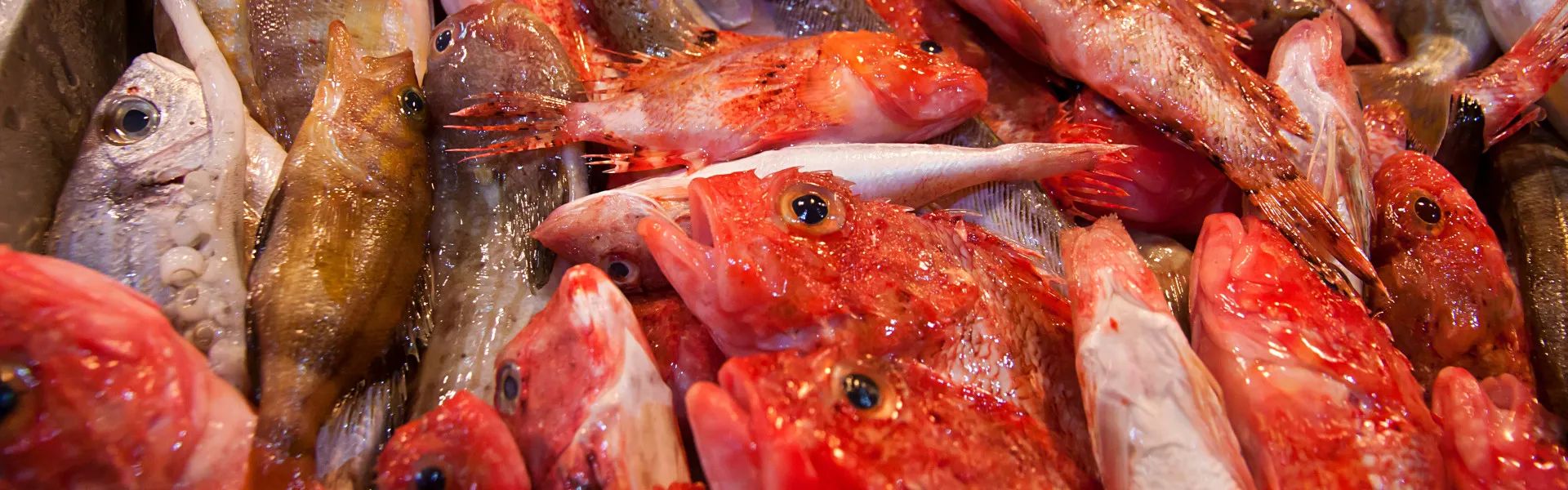 Image of spot Mercat de Santa Catalina recommended by Hattaya Laemsamoot