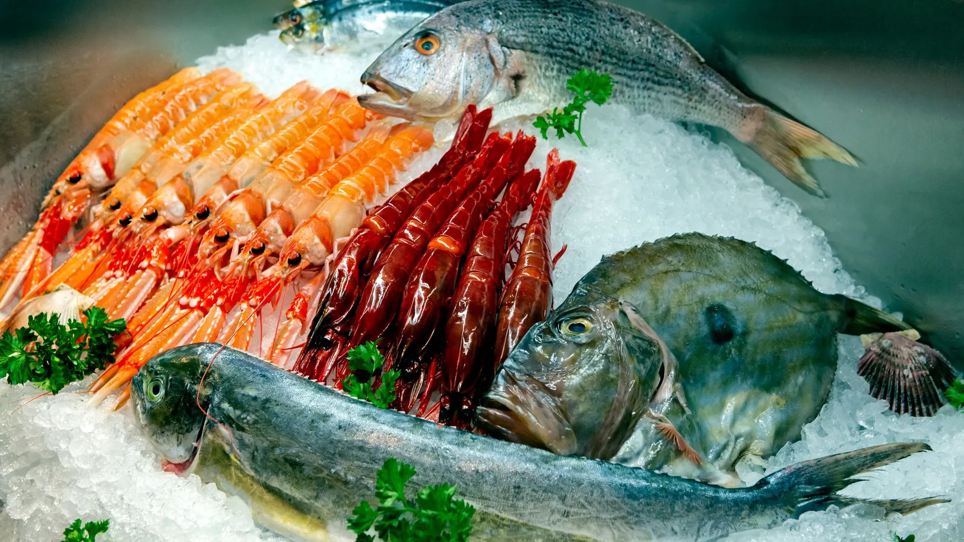 Image of spot El Camino recommended by Ian Lonnqvist