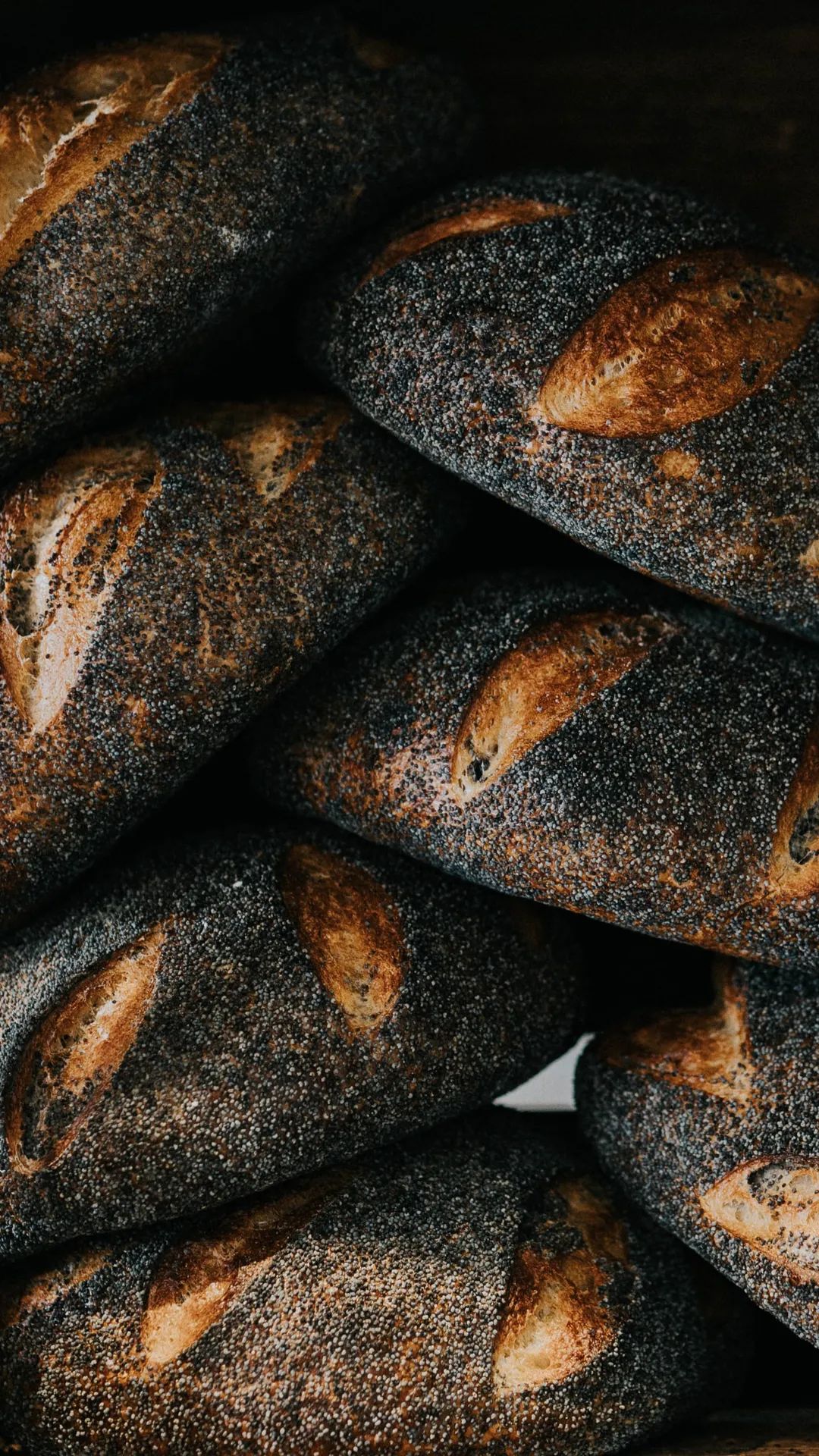 Image of spot Broder Jakobs Stenugnsbageri recommended by Fares Alfakir