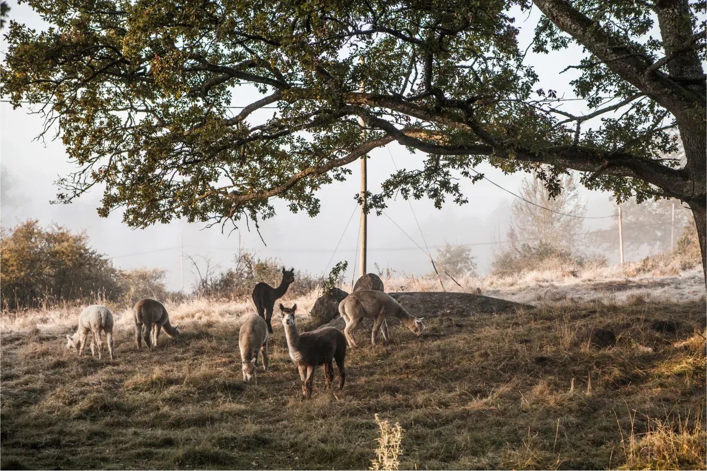 Image of spot Siggesta Gård recommended by Mikaela Salen
