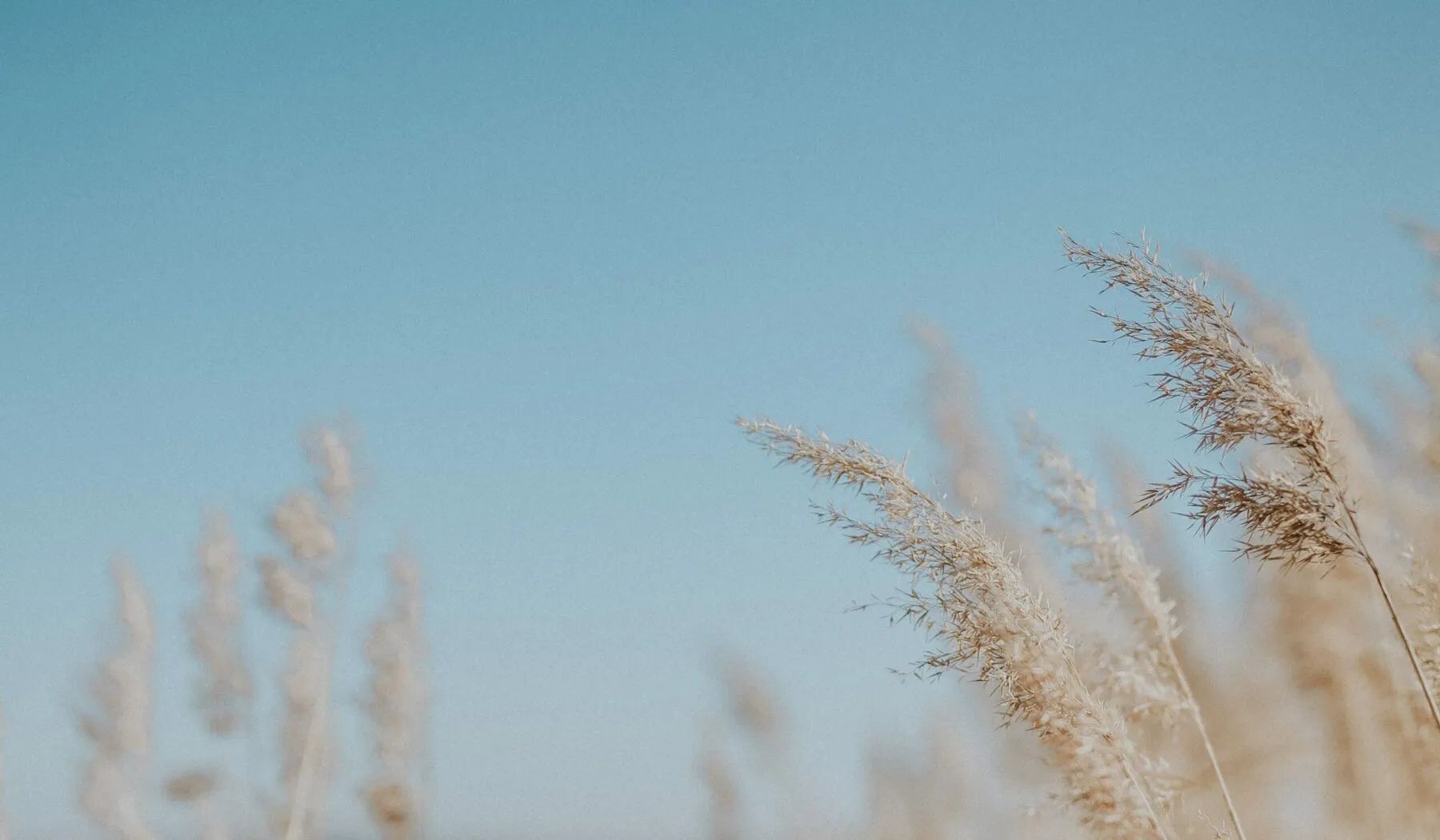 Image of spot Marholmen recommended by Mikaela Salen