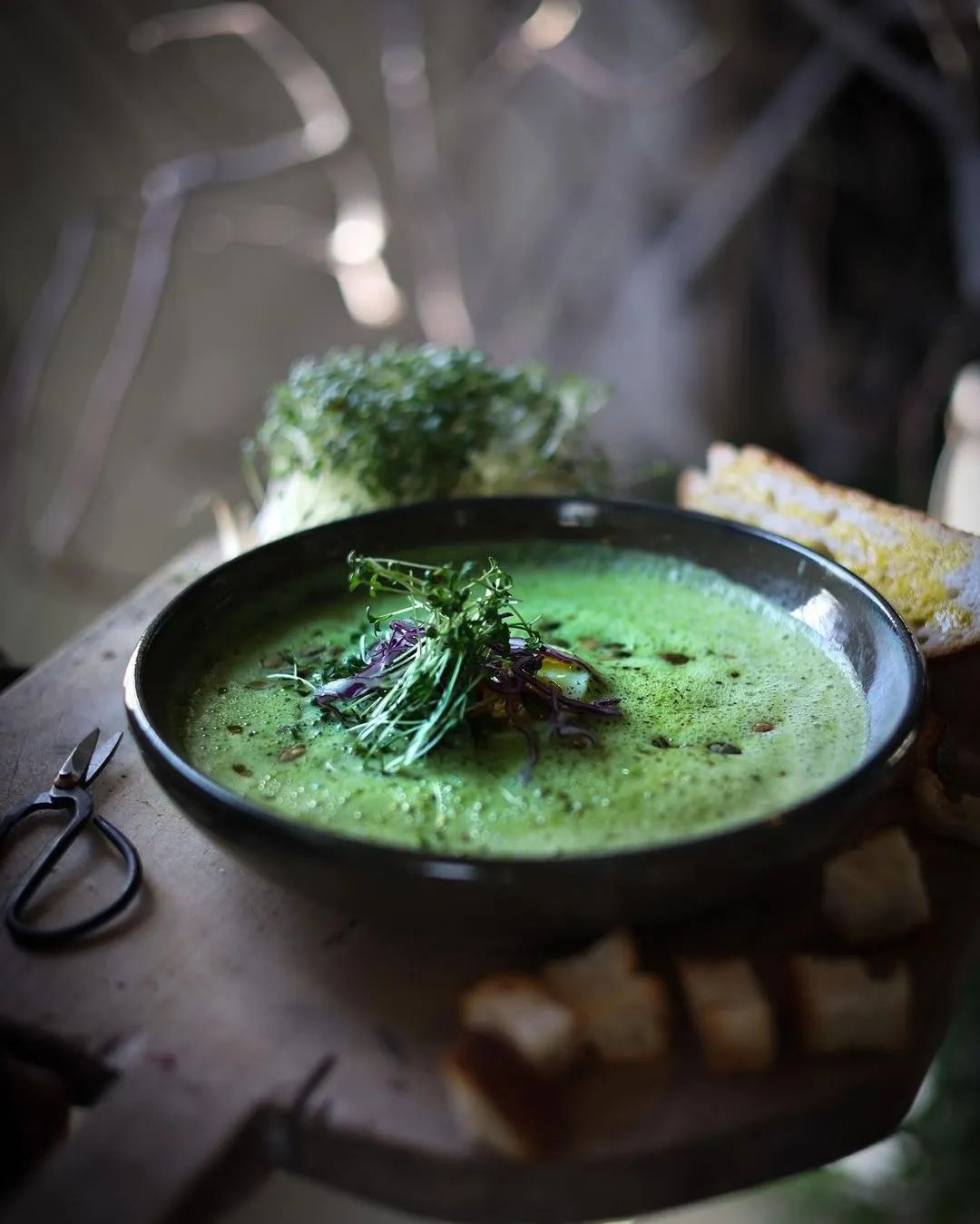 Image of spot Växtzon 4 recommended by Jenny Eliasson