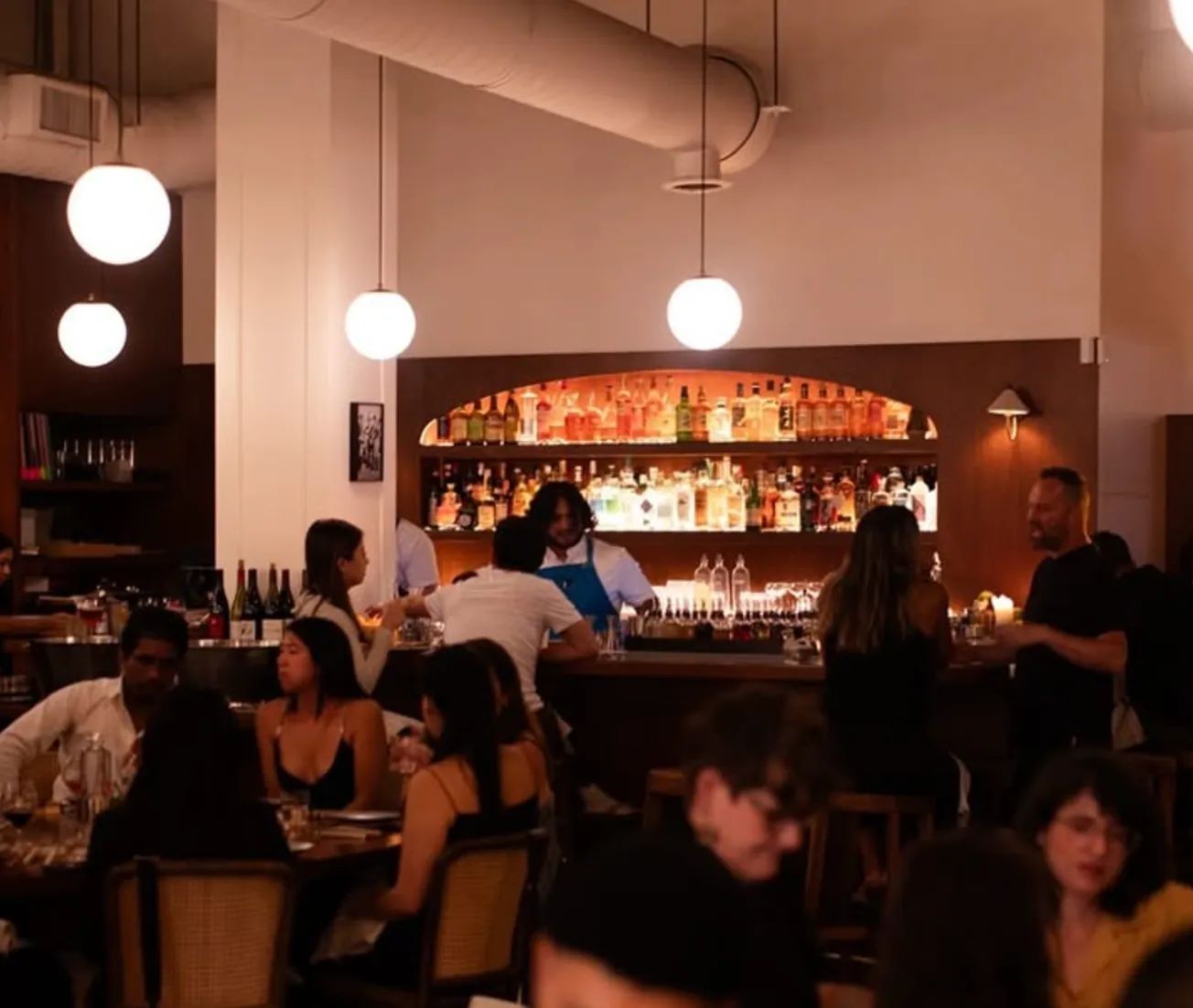 Image of spot Camelia recommended by David Larsson