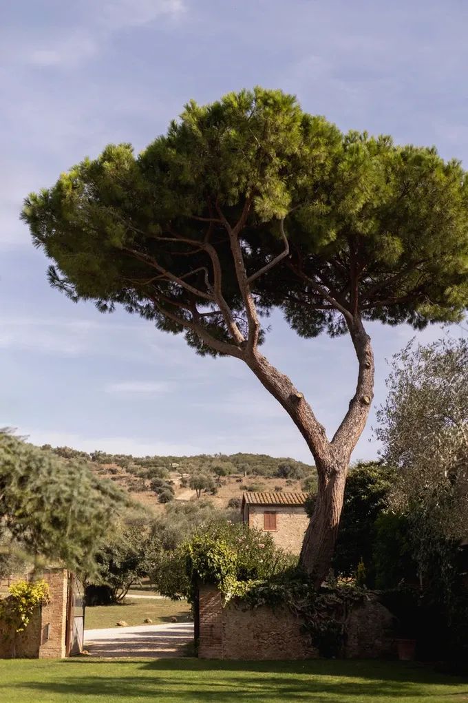 Image of spot La Pescaia Resort recommended by Mikaela Salen