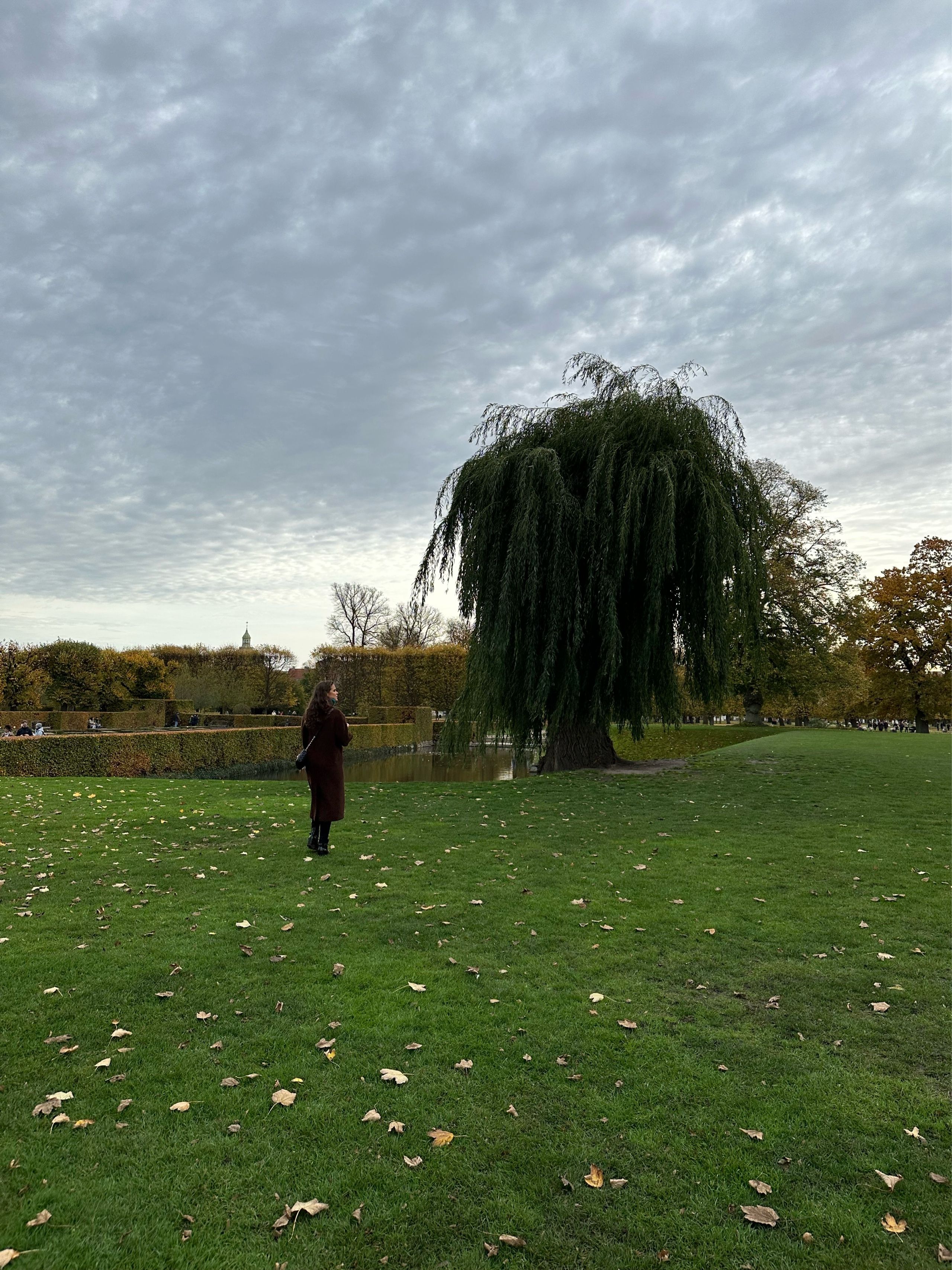 Image of spot Botanical Garden recommended by Phoenicia Salén