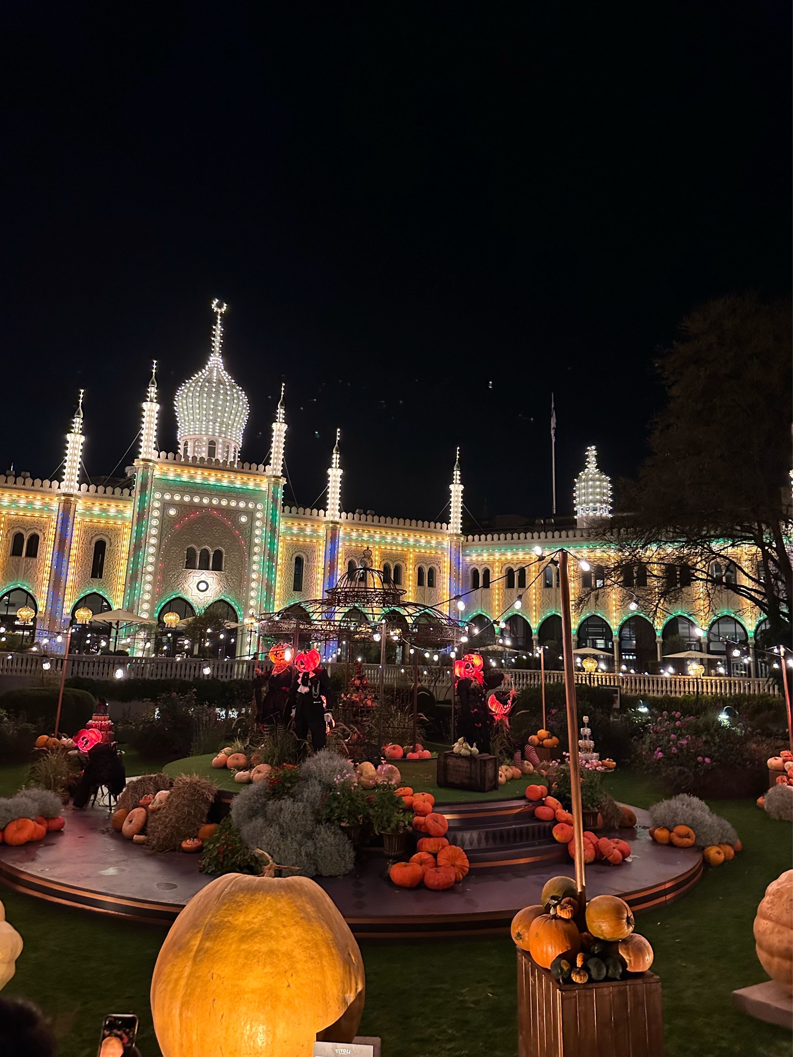 Image of spot Tivoli Gardens recommended by Phoenicia Salén
