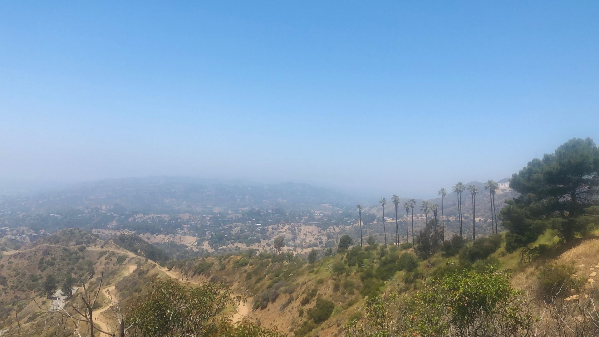 Image of spot Griffith Park recommended by Shirin Aliyar