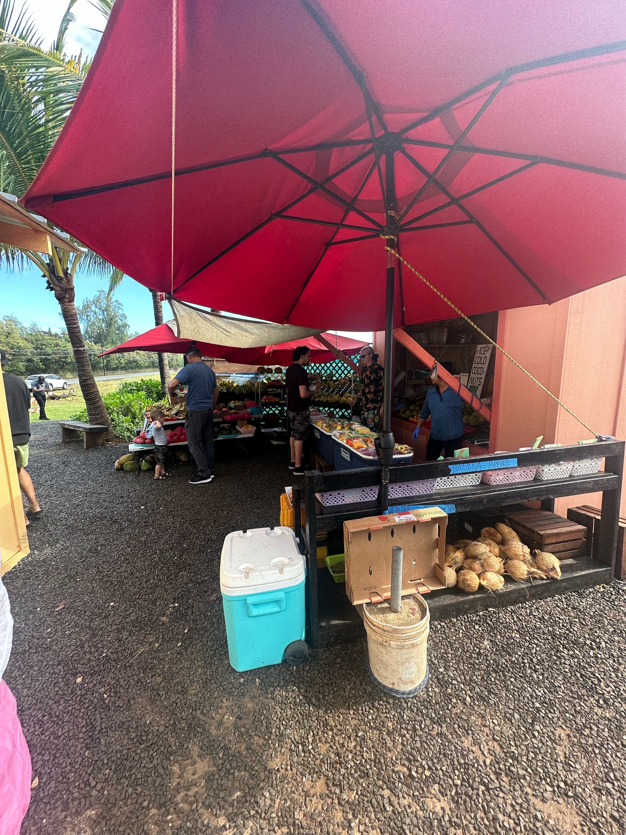 Image of spot Kula Shave Ice North Shore recommended by Phoenicia Salén