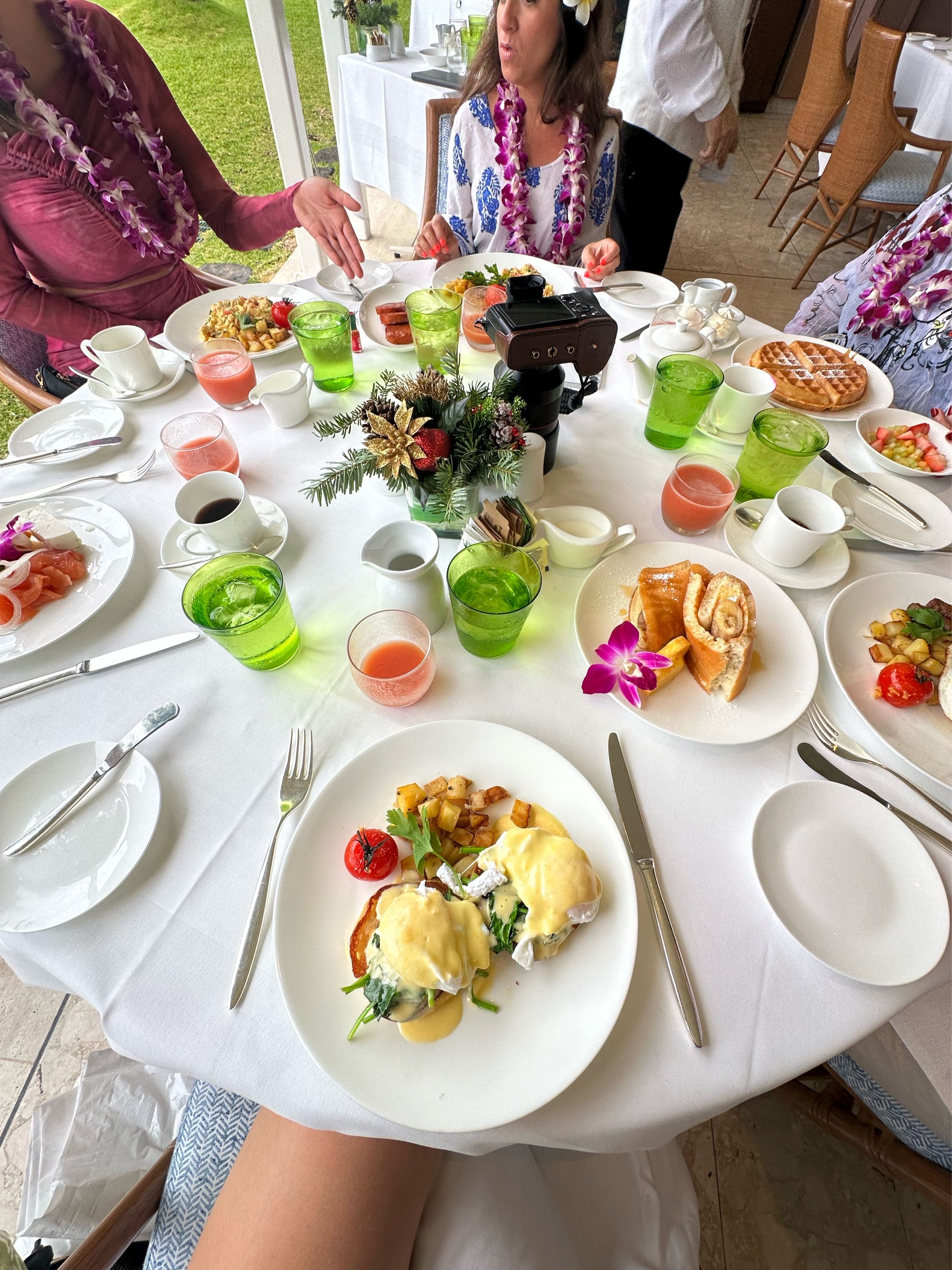 Image of spot Orchids recommended by Phoenicia Salén