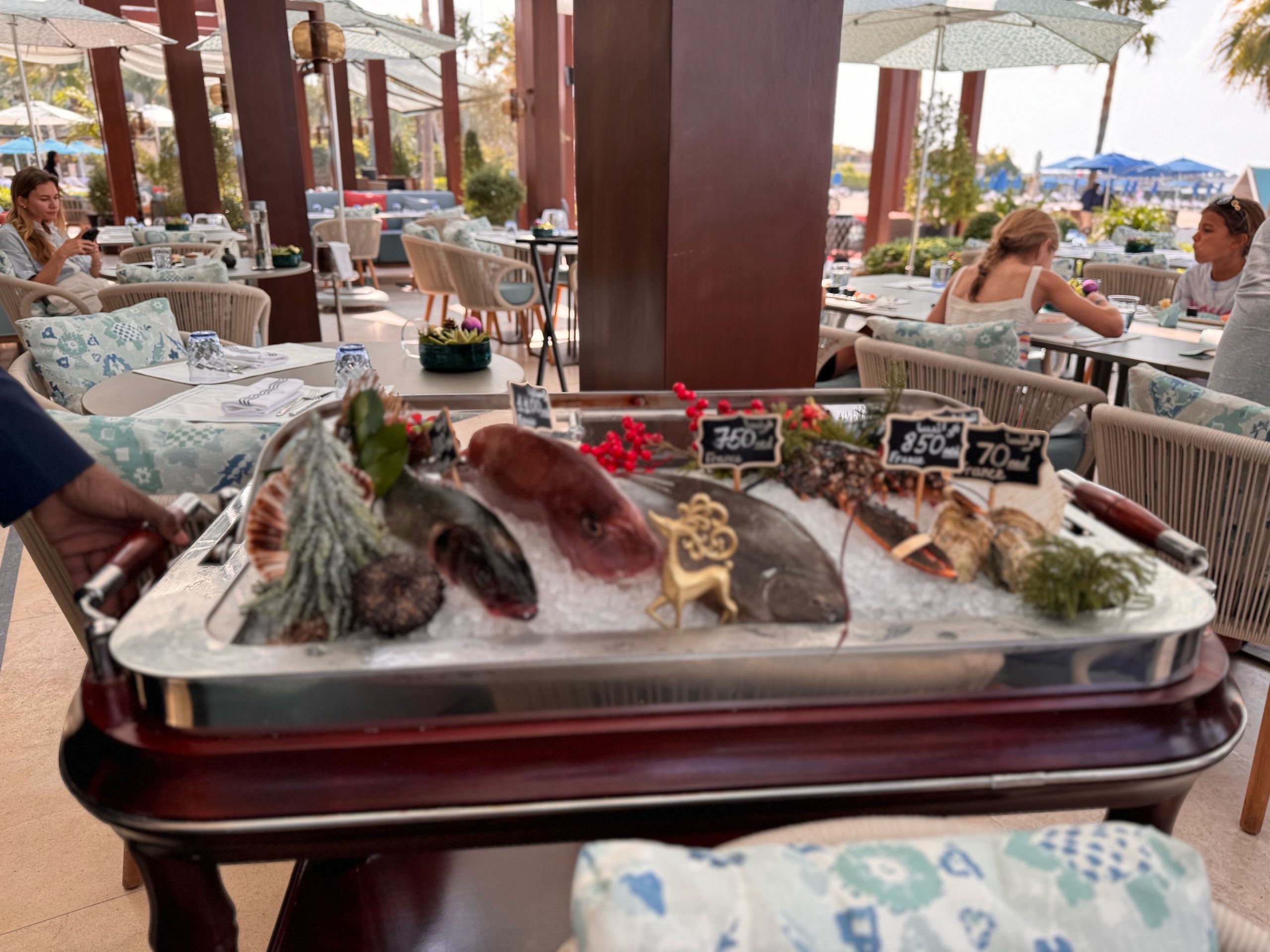 Image of spot Sea Fu recommended by Oscar Salen