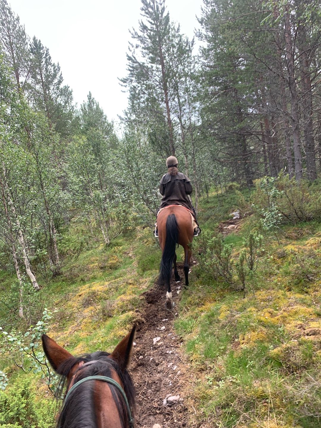 Image of spot Trumvallen Fjällridning recommended by CowboyDan 