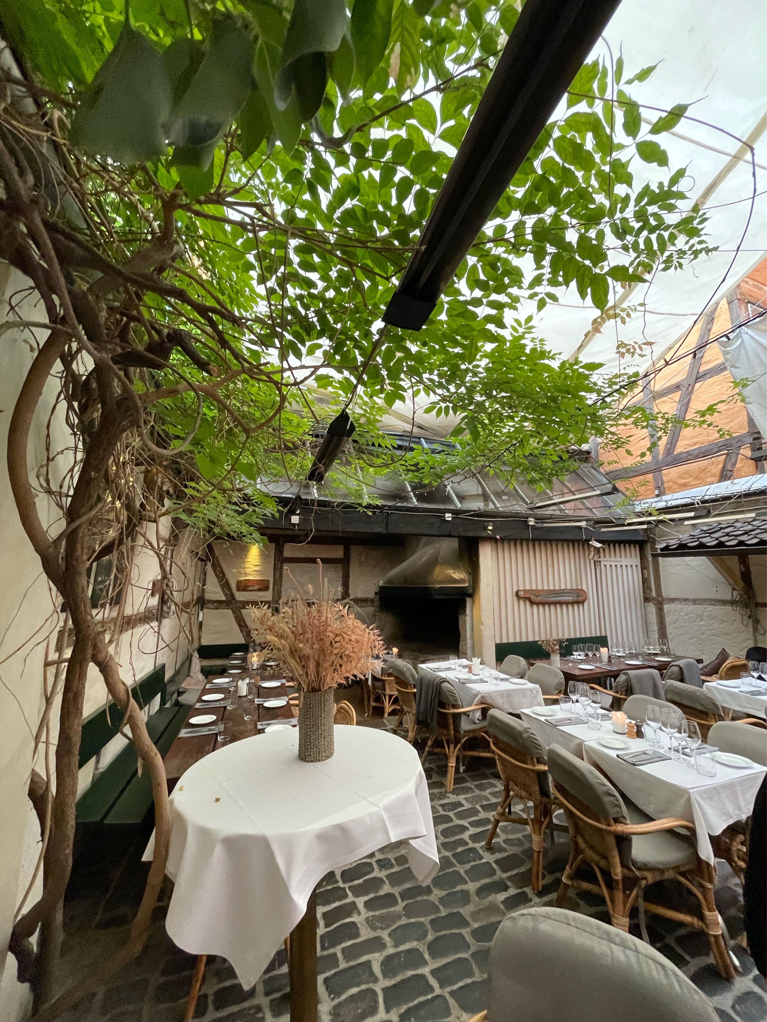 Image of spot Zeleste recommended by Phoenicia Salén