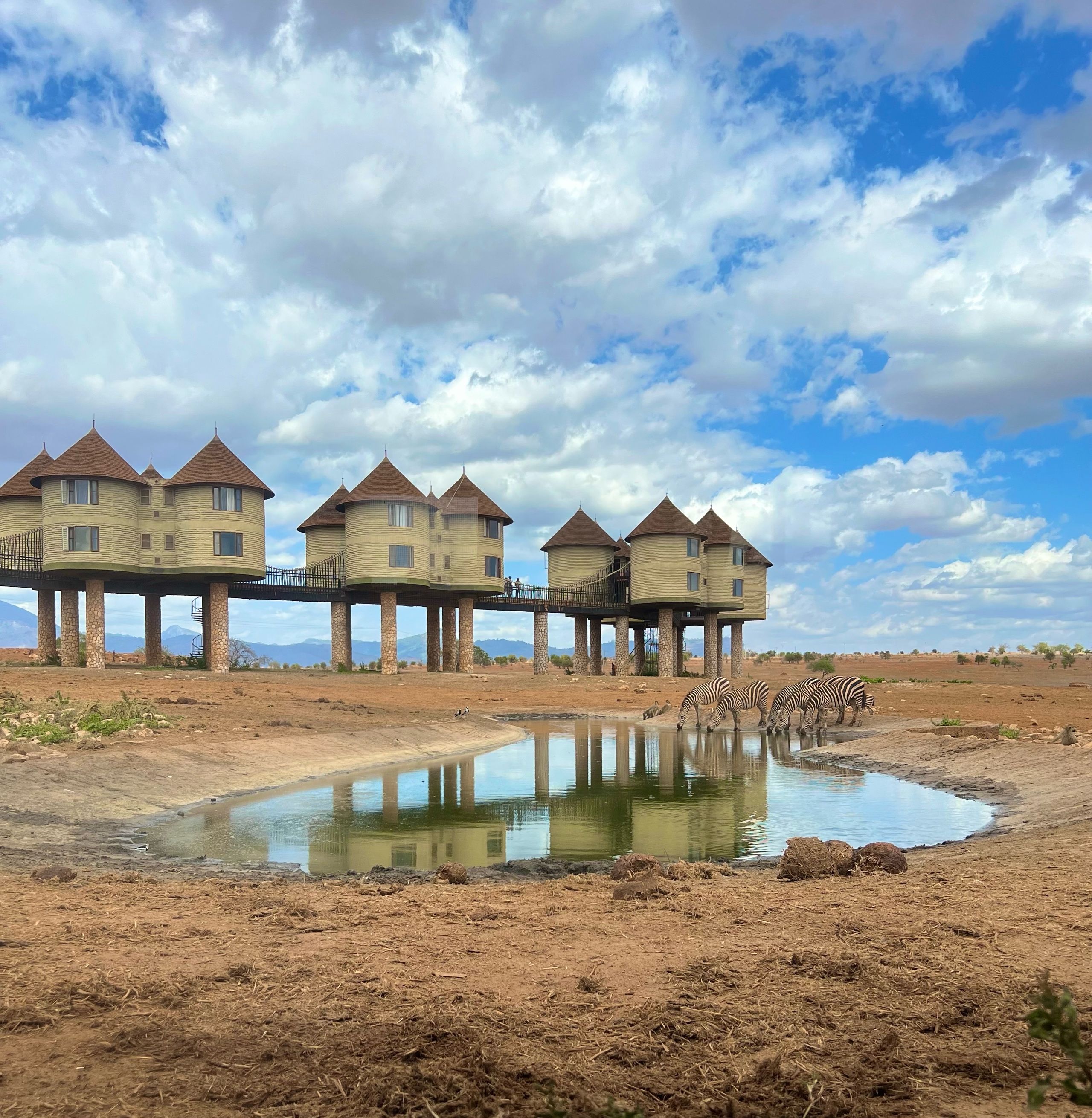 Image of spot Salt Lick Safari Lodge recommended by Moe Ghorbani