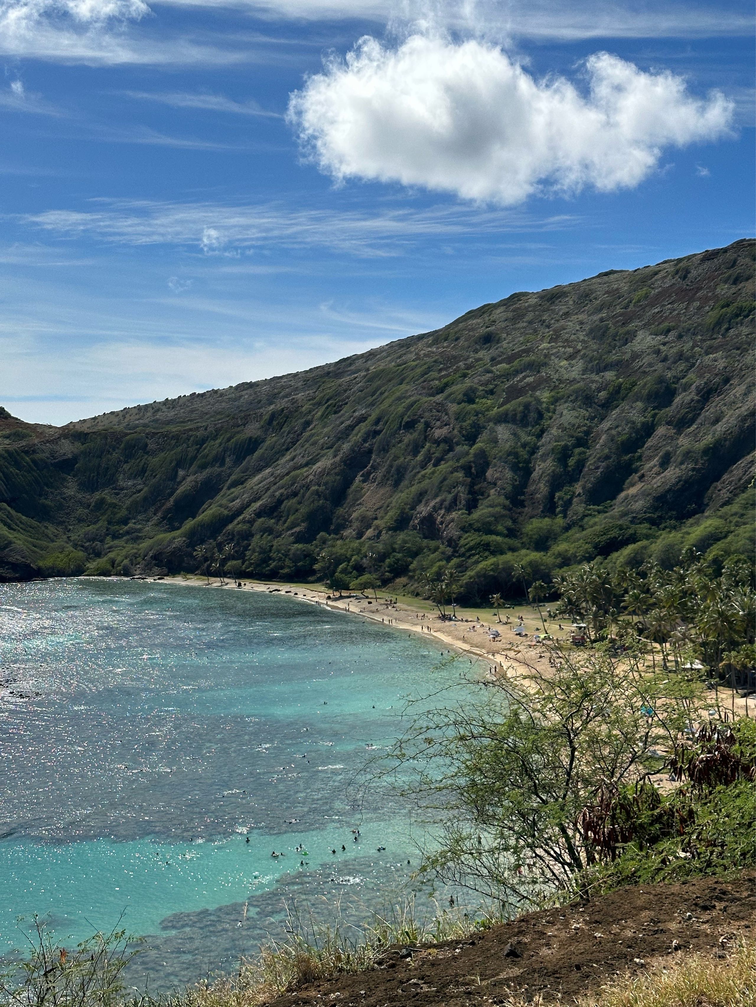 Image of spot Hanauma Bay Nature Preserve recommended by Phoenicia Salén