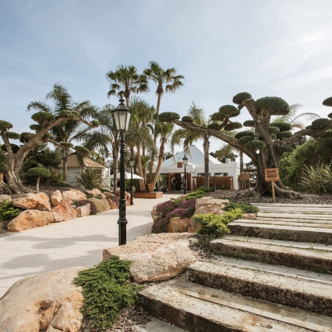 Image of spot Blue Marlin Eivissa recommended by Arthur Dewitte