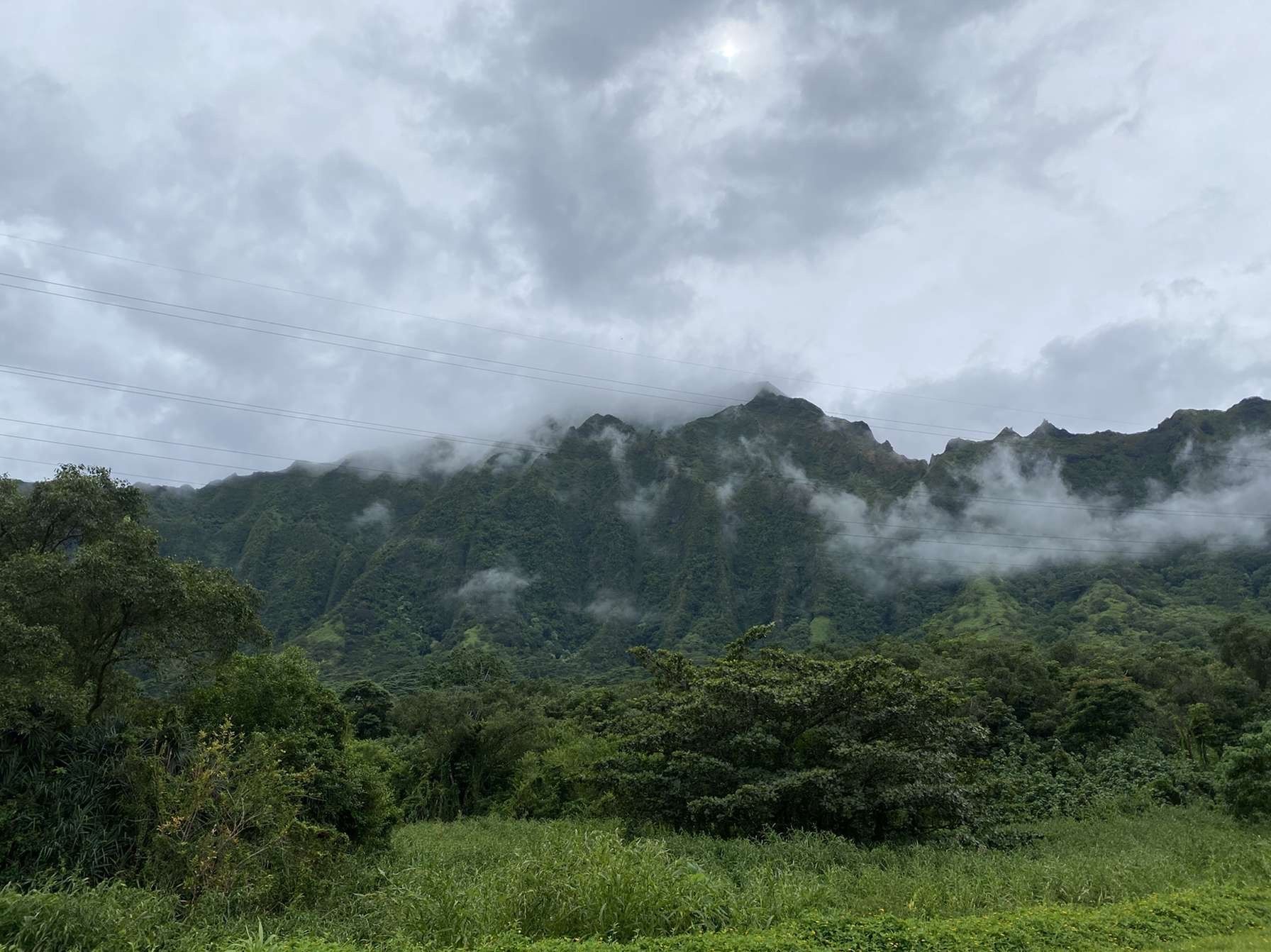Image of spot Hoʻomaluhia Botanical Garden recommended by Phoenicia Salén