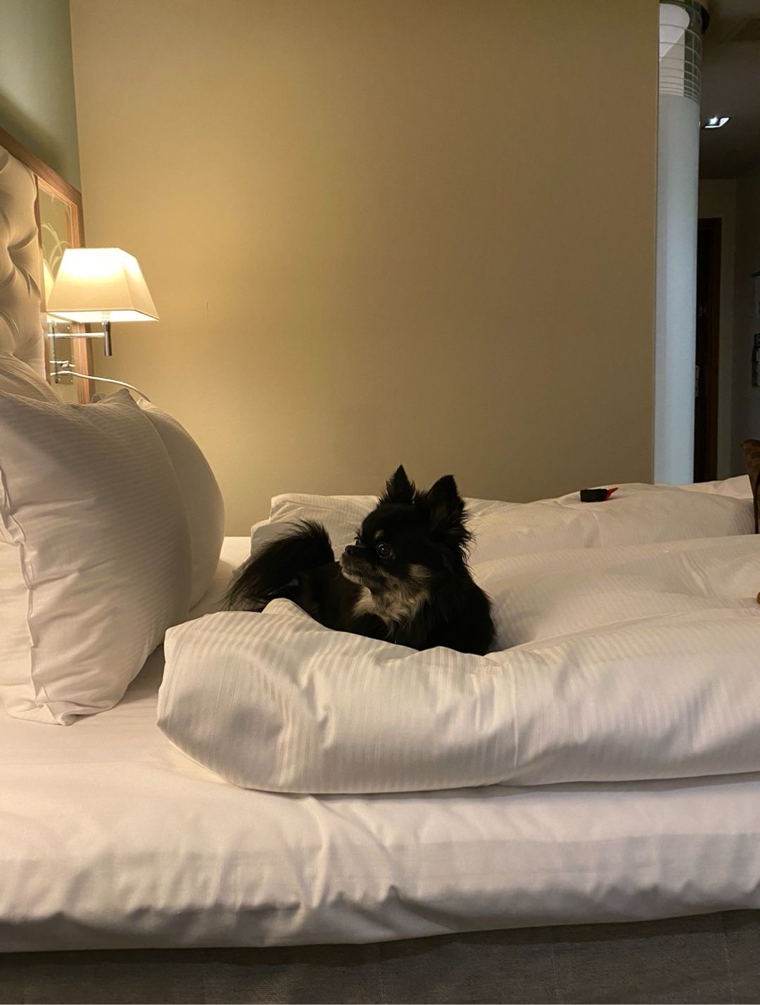 Image of spot Clarion Hotel® Arlanda Airport Terminal recommended by Charlie Doggo