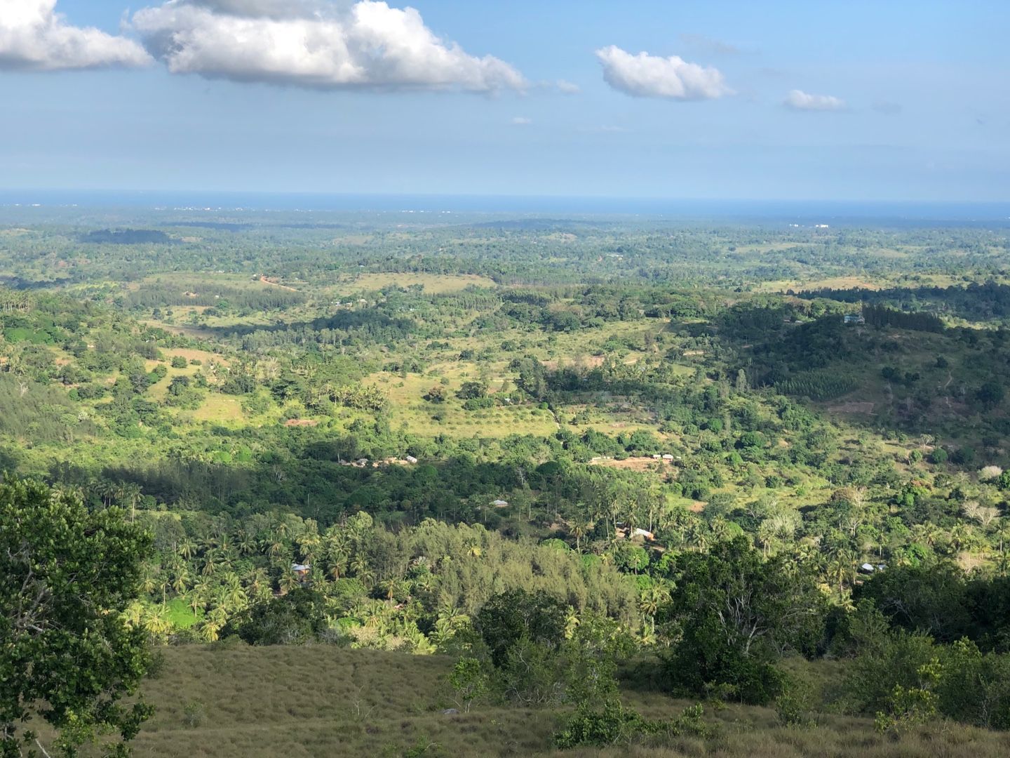 Image of spot Kinondo Kwetu recommended by CW Hirsch