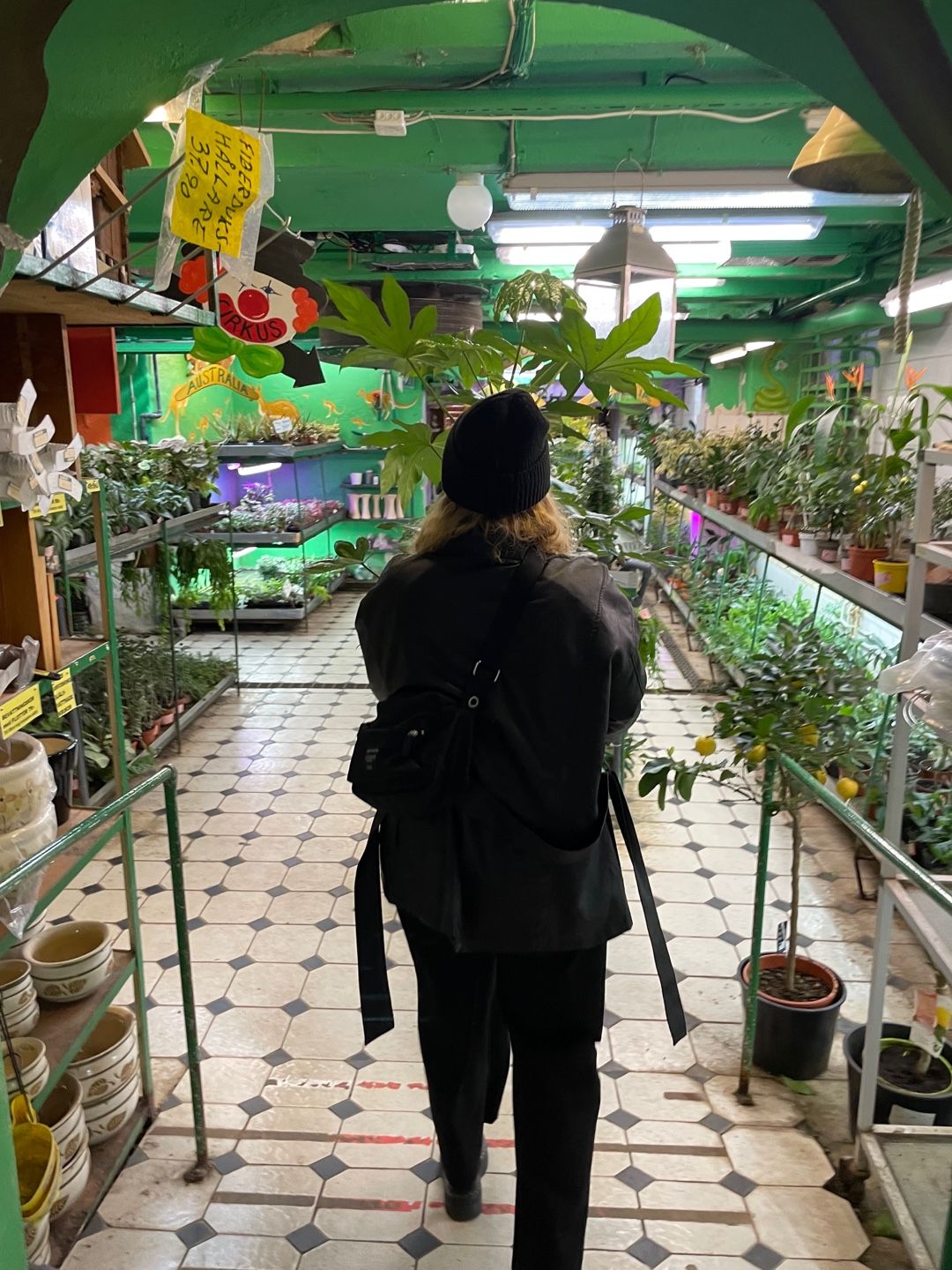 Image of spot Oasen recommended by Frida Krafft